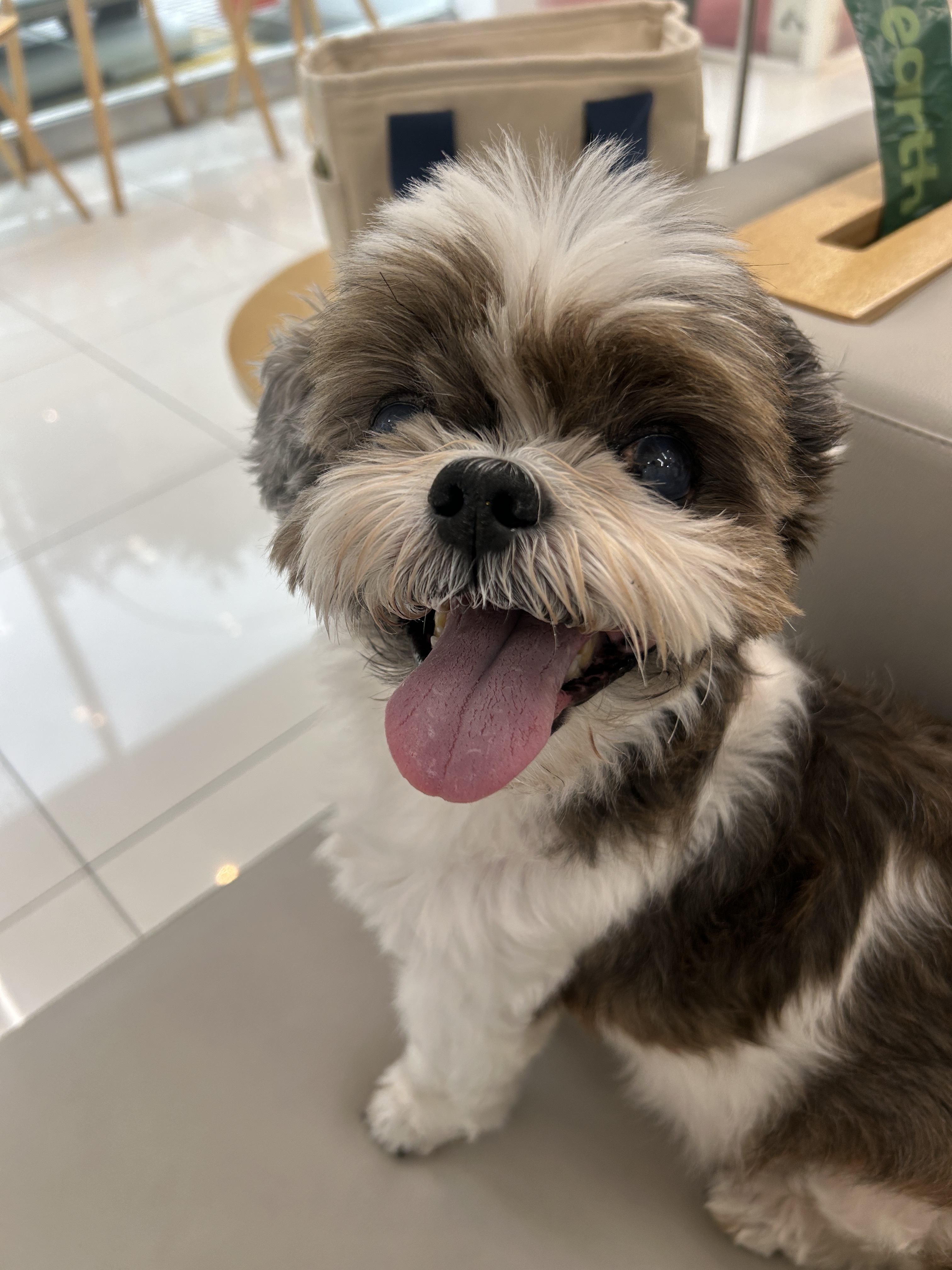 리뷰 사진 1