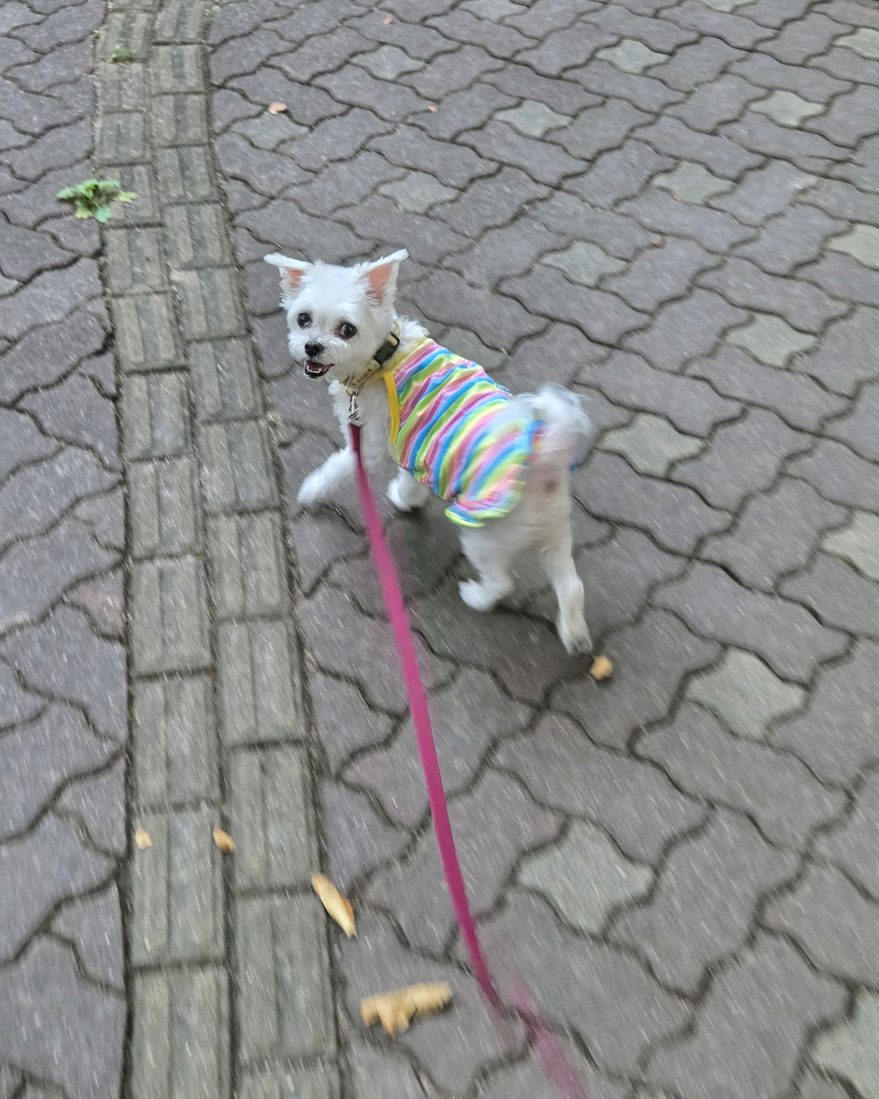 리뷰 사진 3