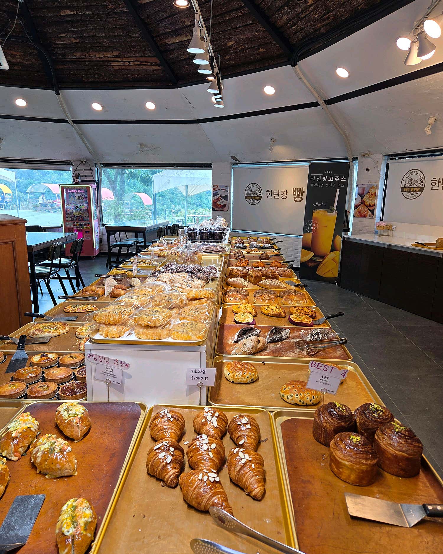 편안한 분위기의 카페 좌석