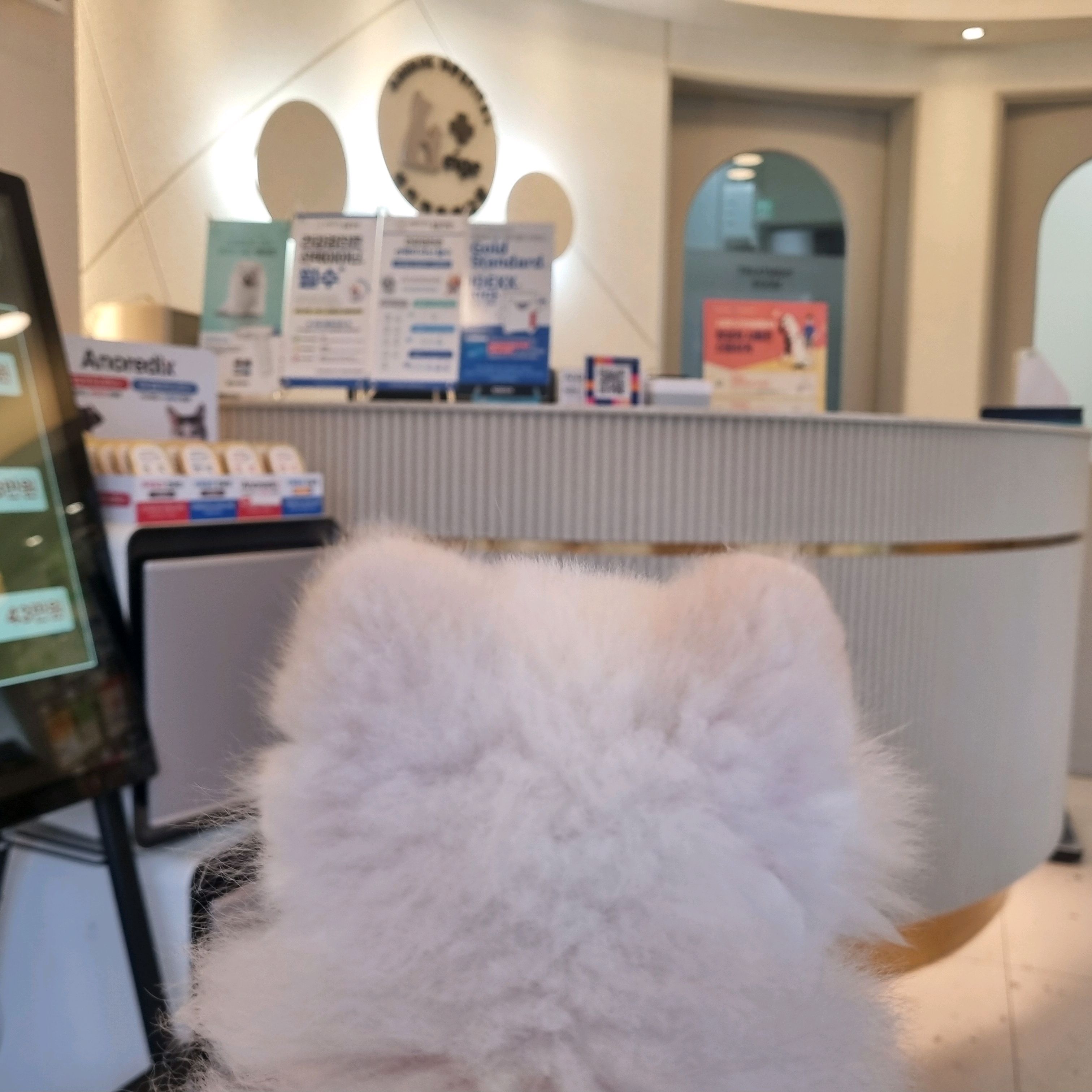 리뷰 사진 1