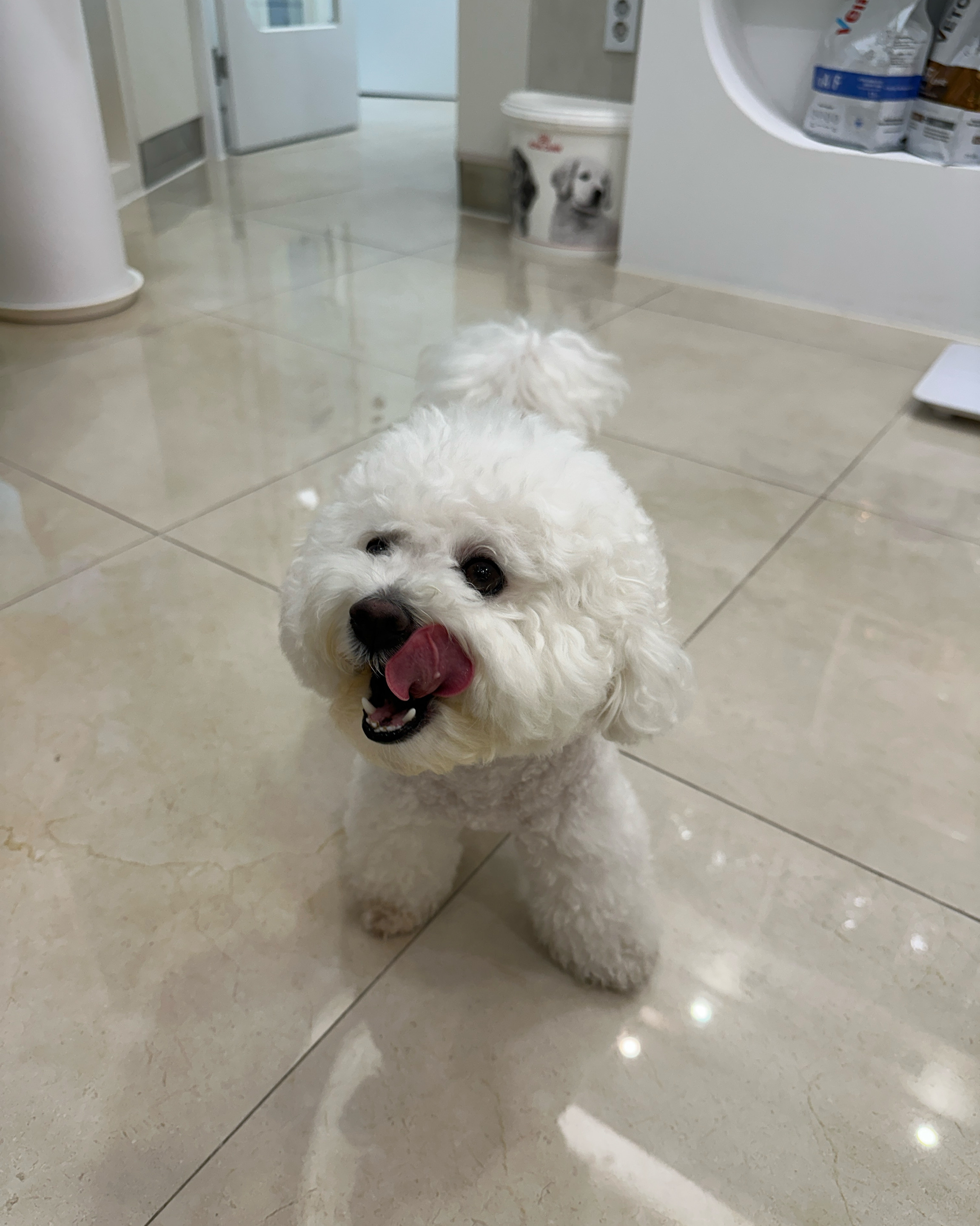 리뷰 사진 2
