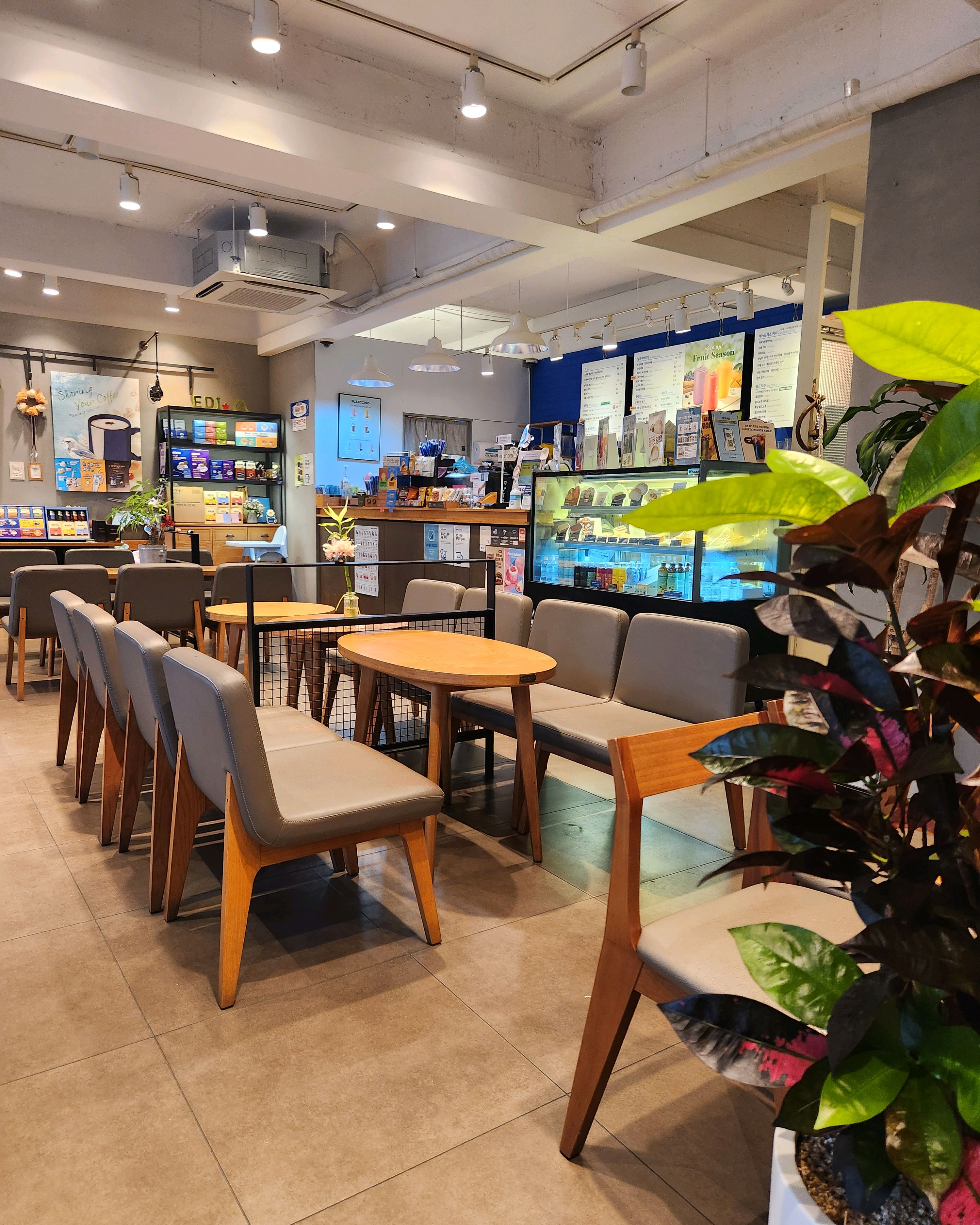 이디야커피 속초교동점 (Ediya Coffee Sokcho Gyodong) 6