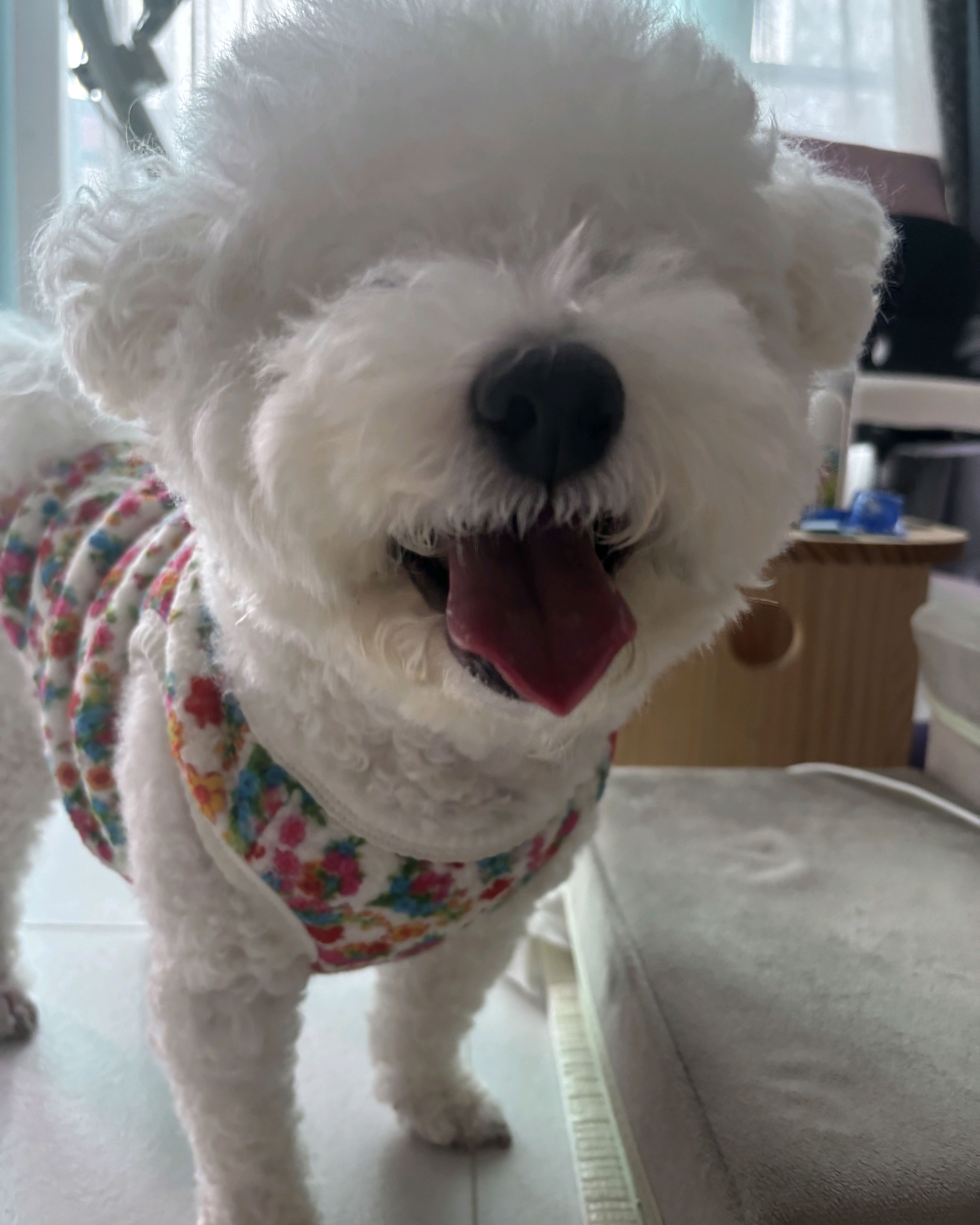 리뷰 사진 1