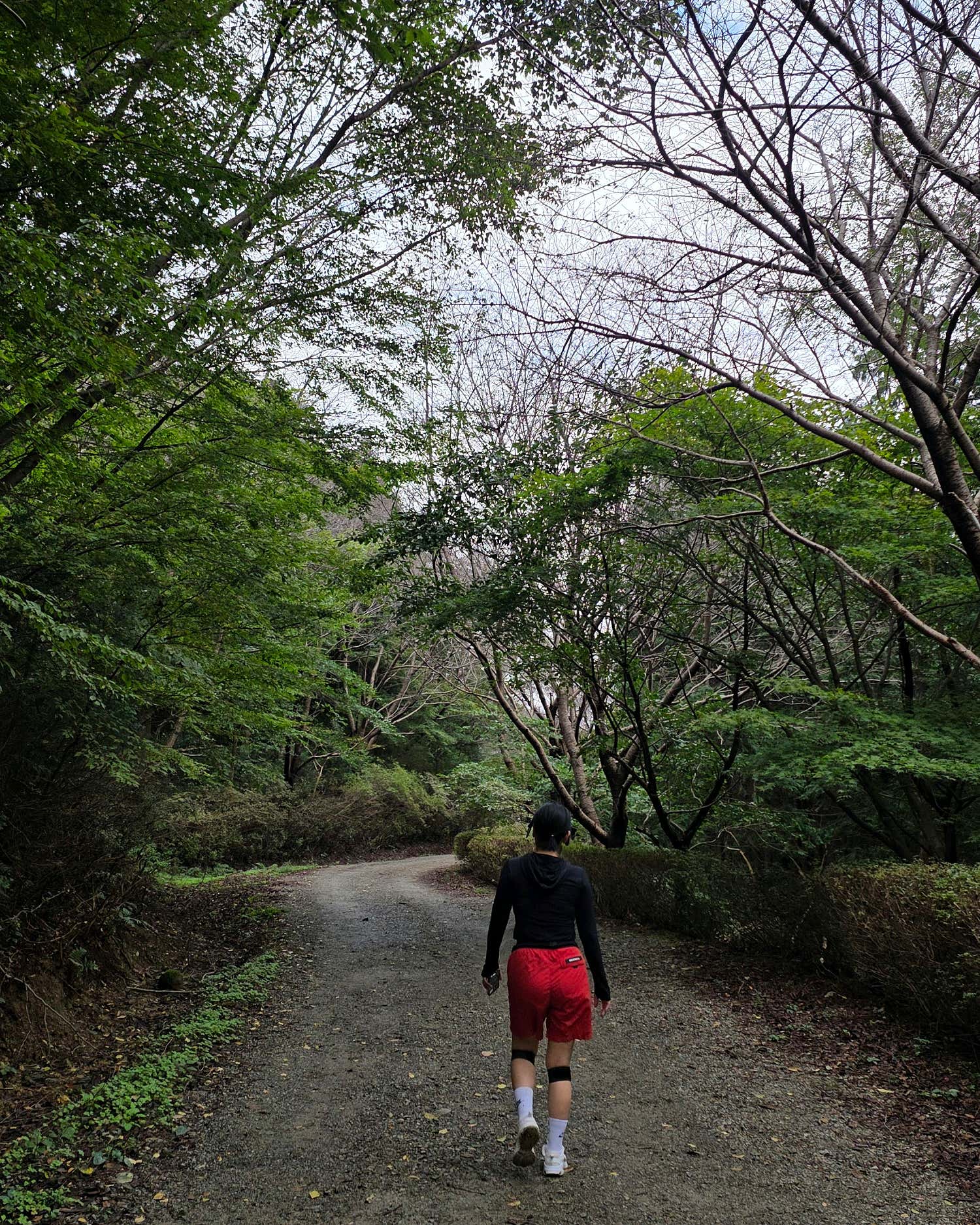 창원둘레길4코스