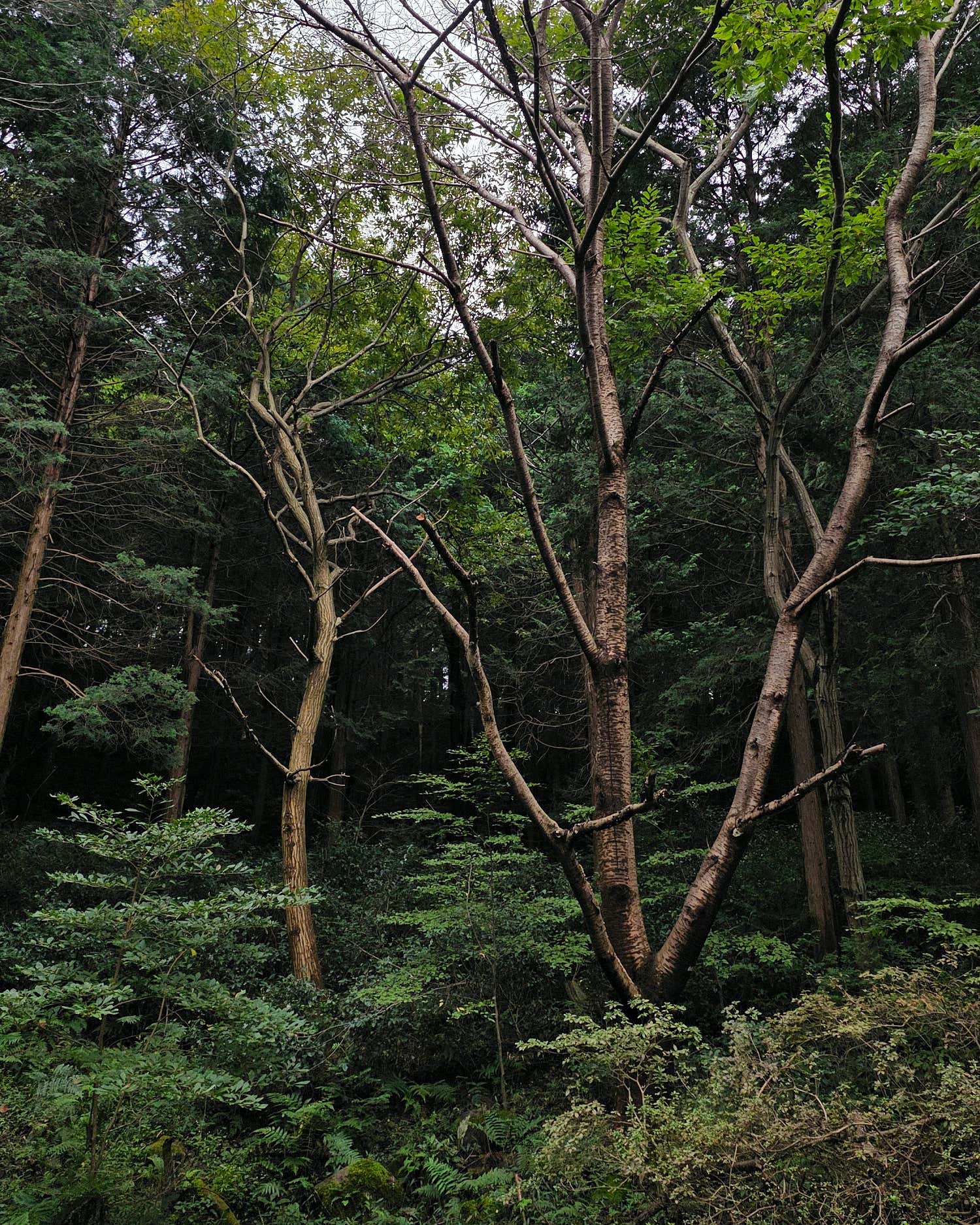 창원둘레길4코스