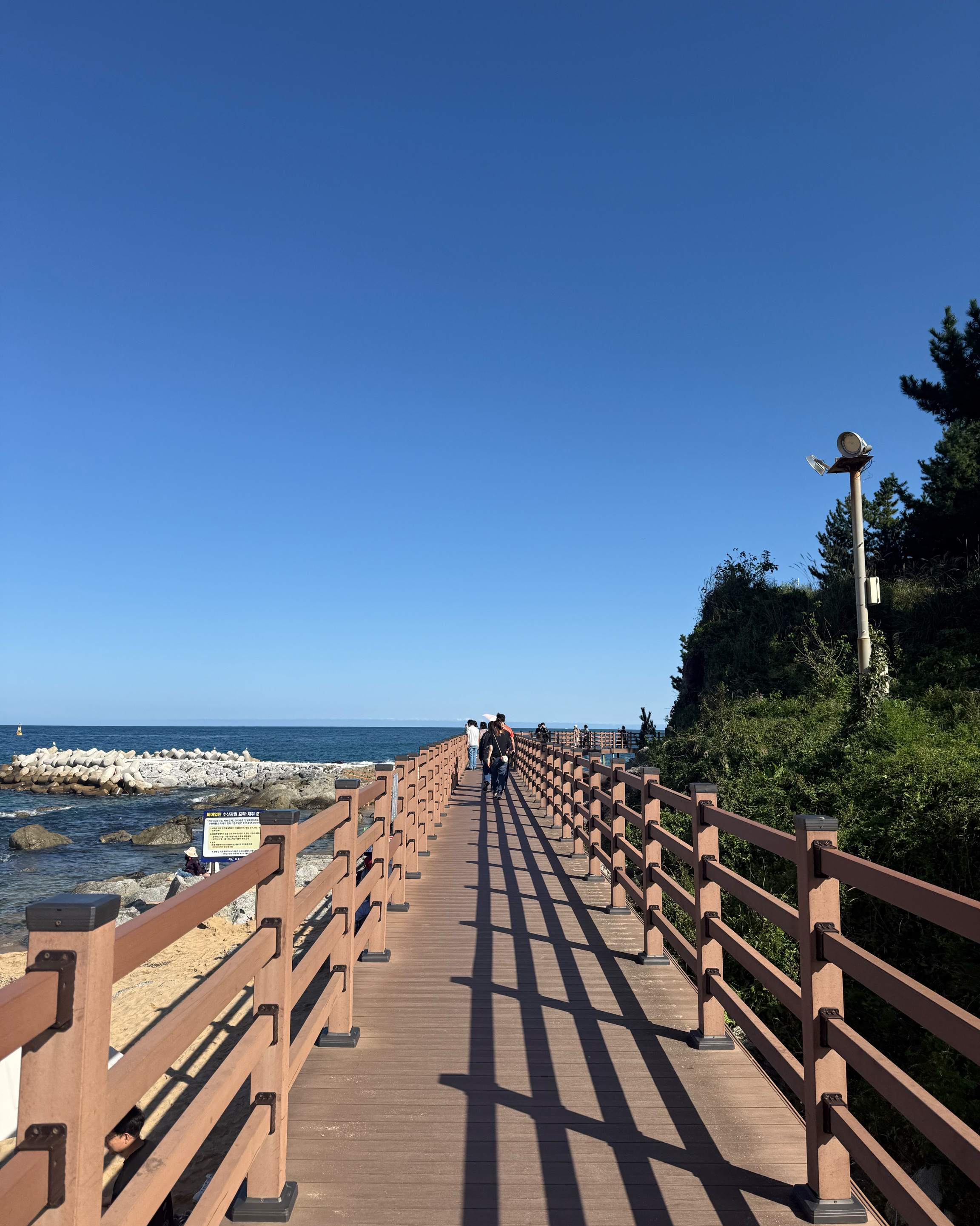 외옹치바다향기로 (휴업중) 4