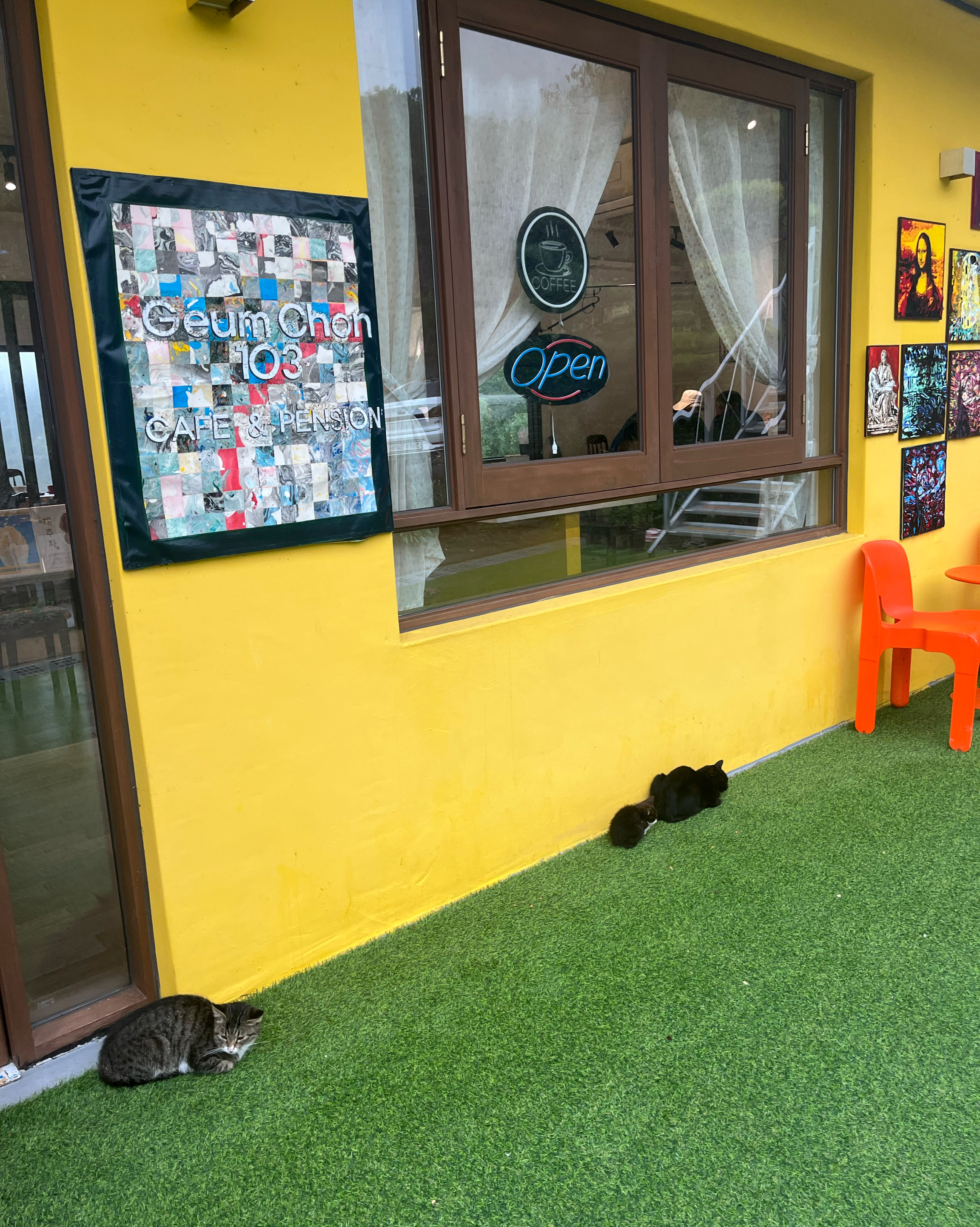 금촌103의 또 다른 고양이