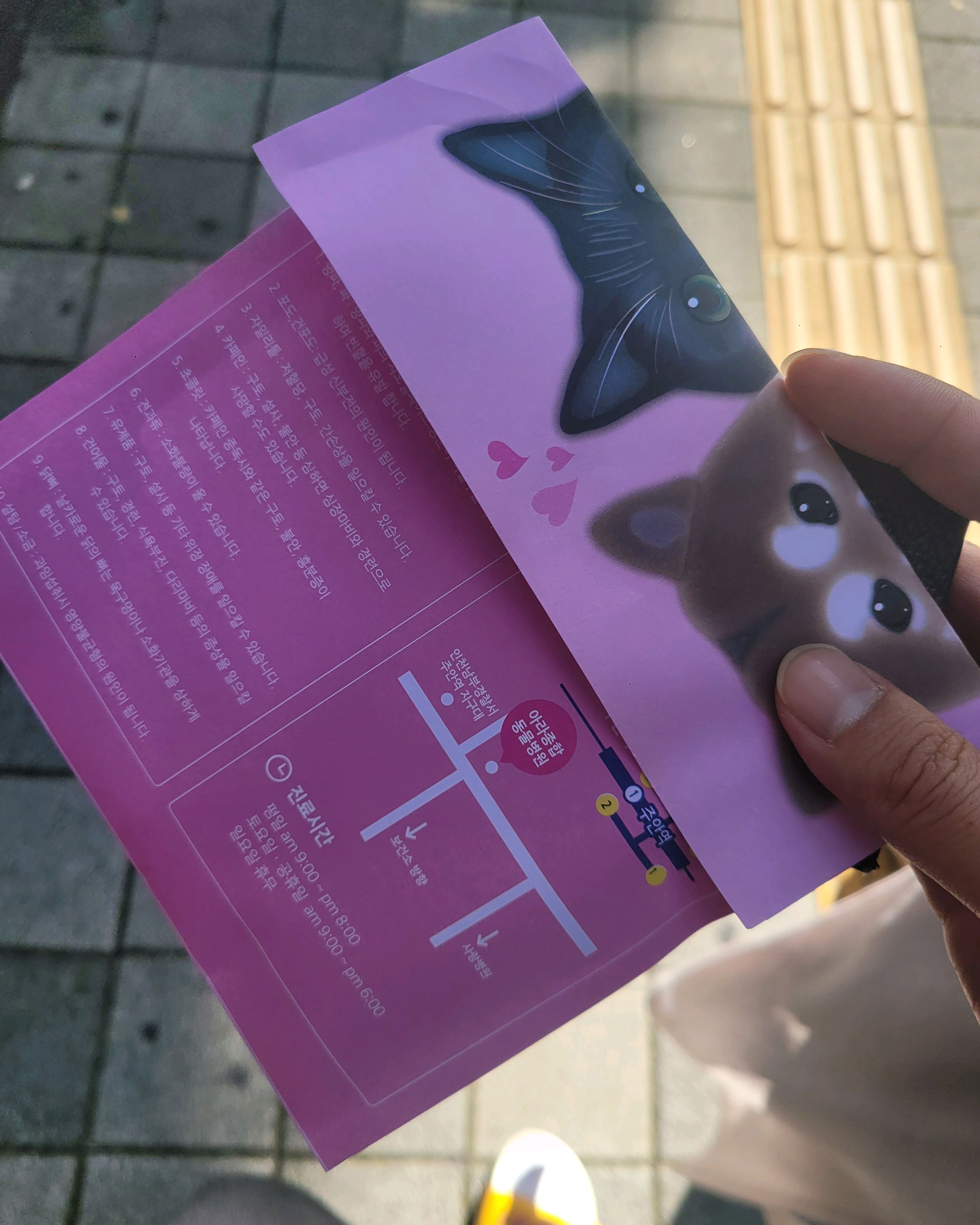 리뷰 사진 1