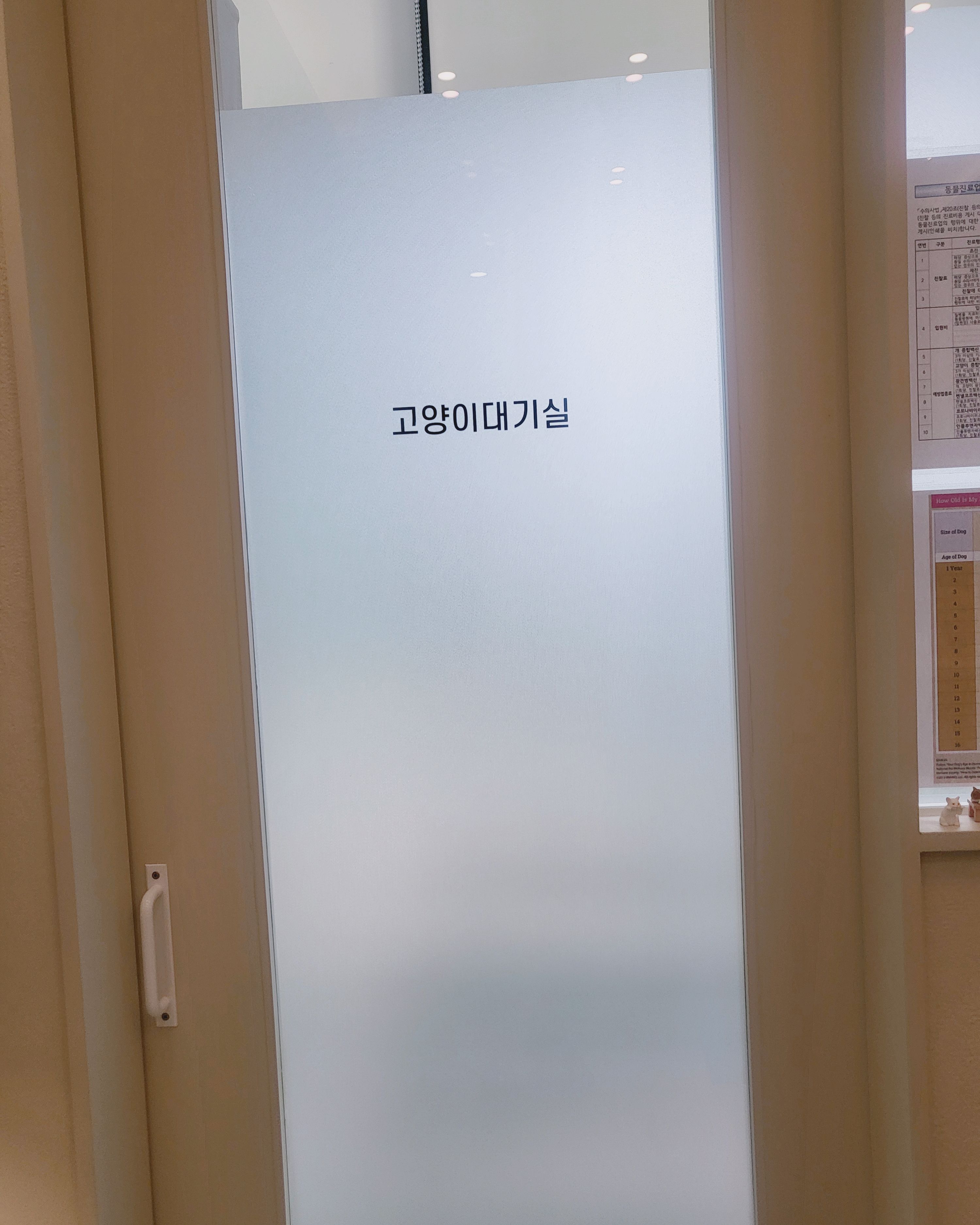 리뷰 사진 1
