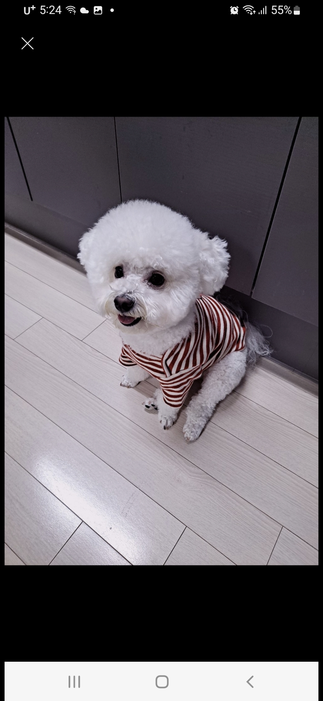 리뷰 사진 1