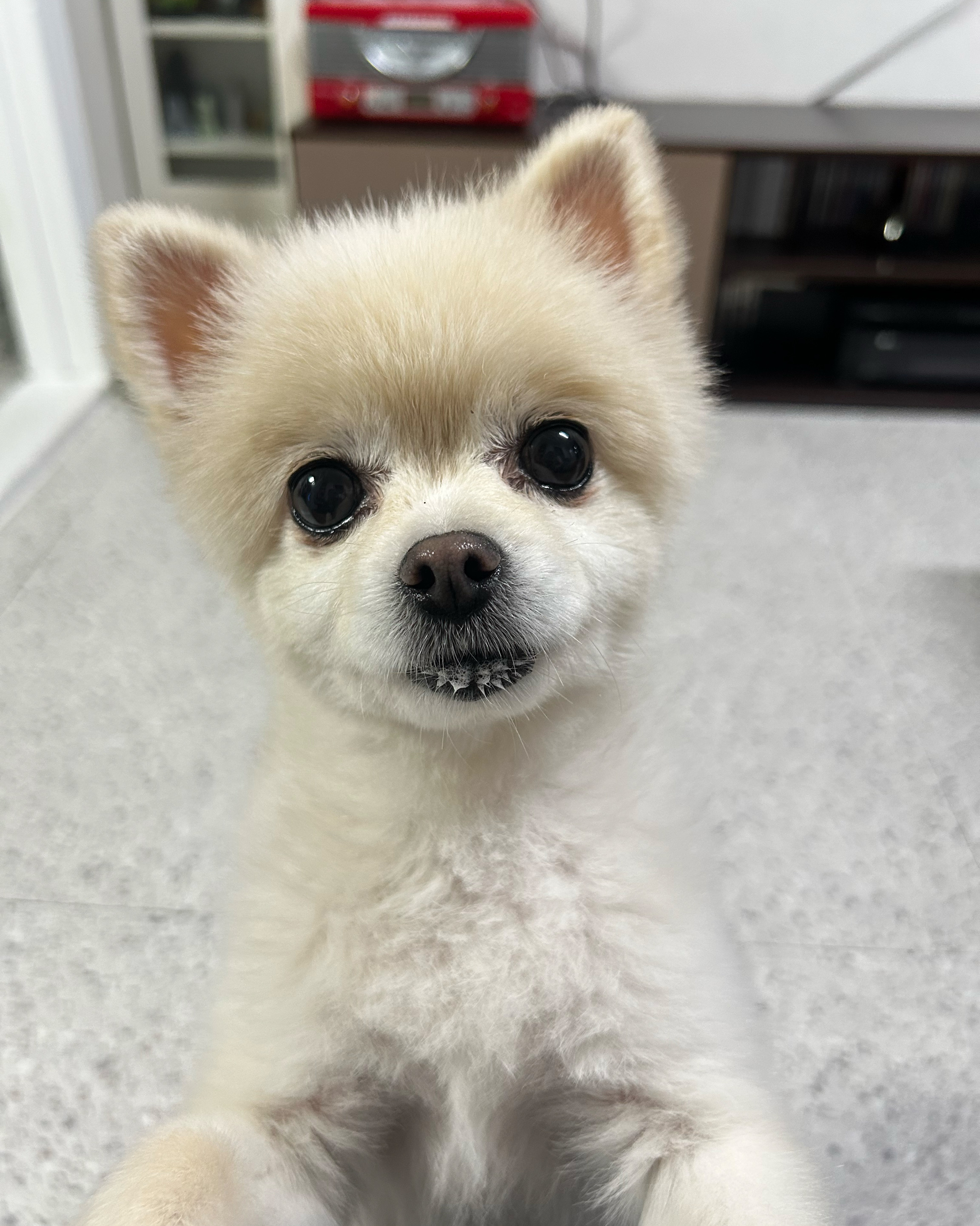리뷰 사진 1