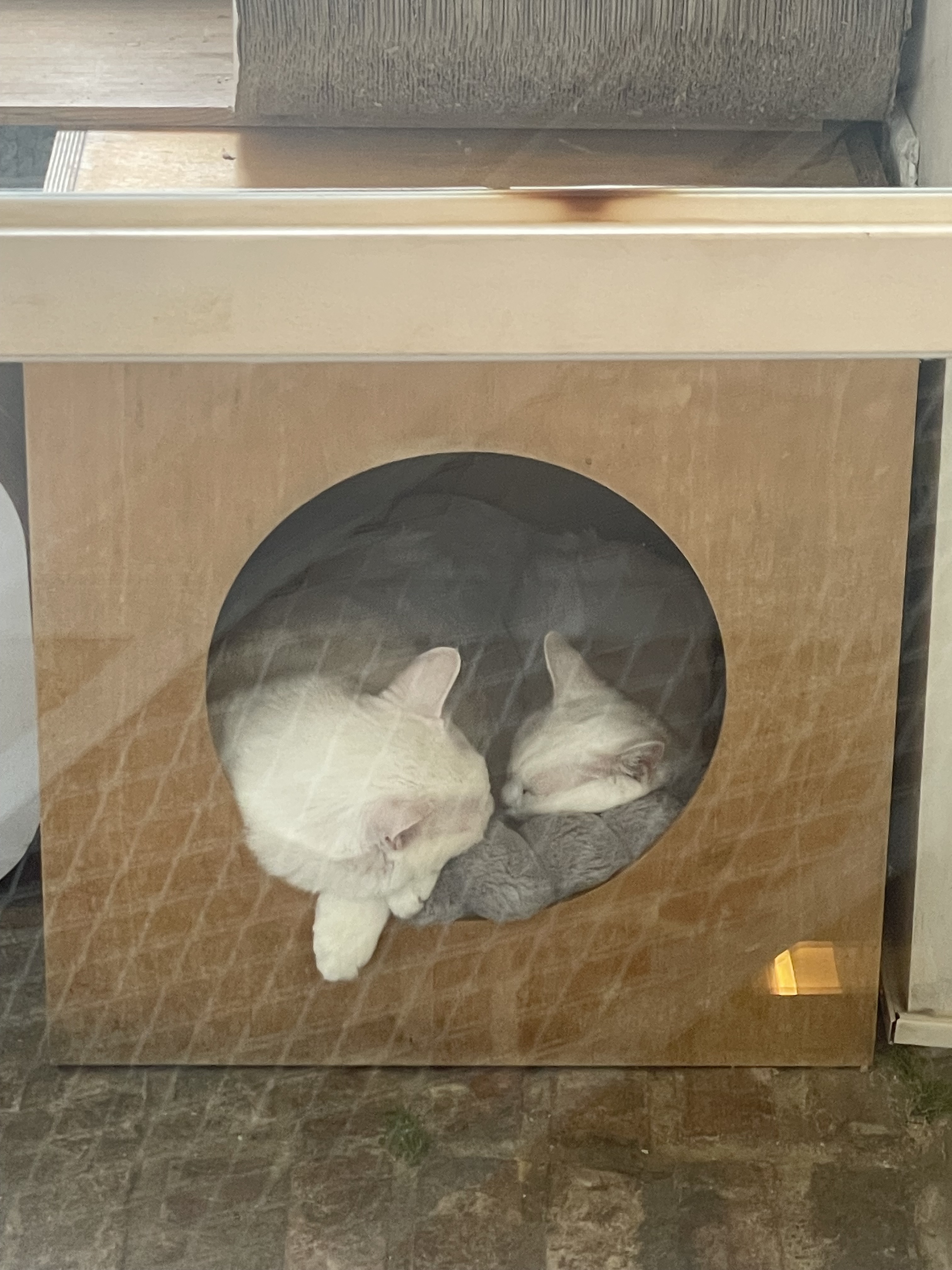 리뷰 사진 1