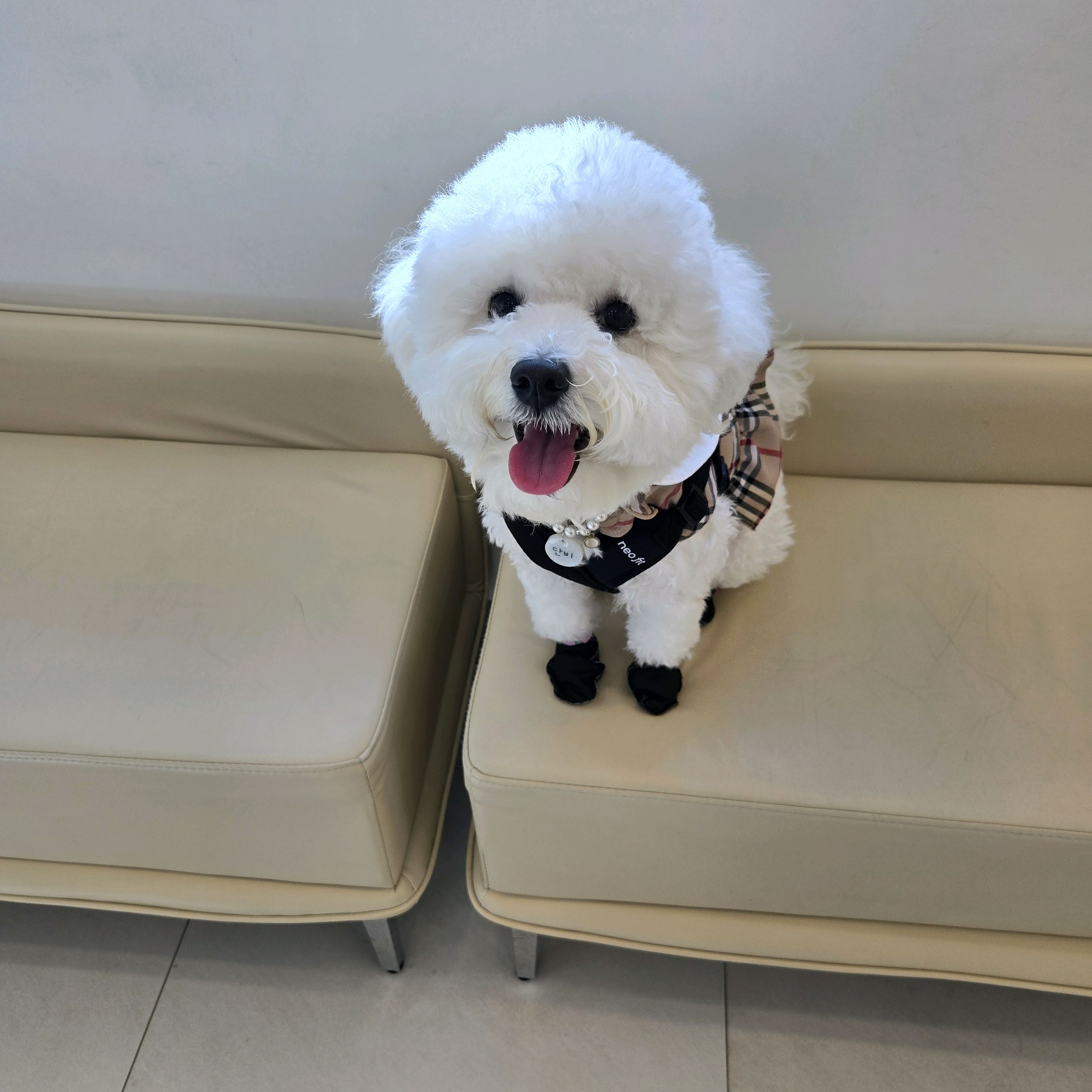 리뷰 사진 1