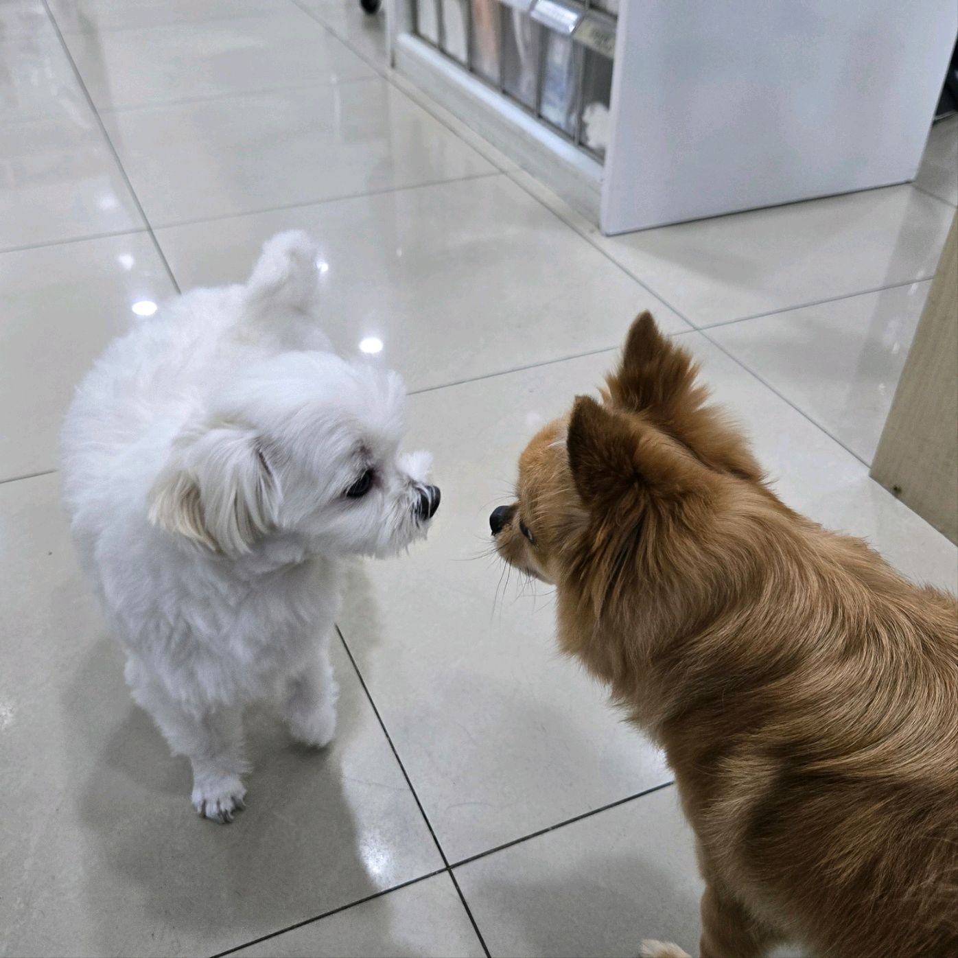 리뷰 사진 2
