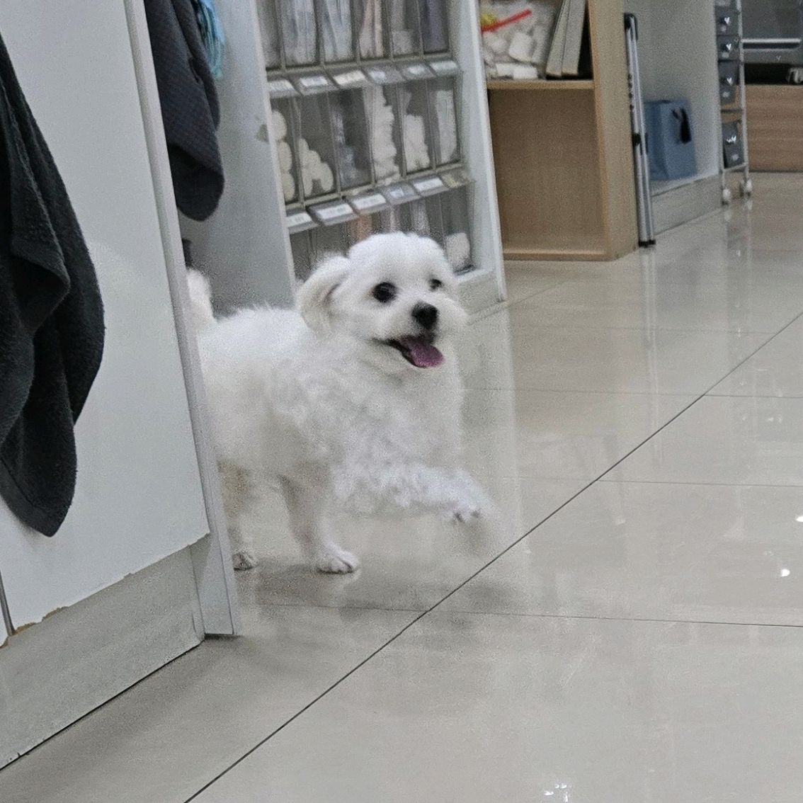 리뷰 사진 1