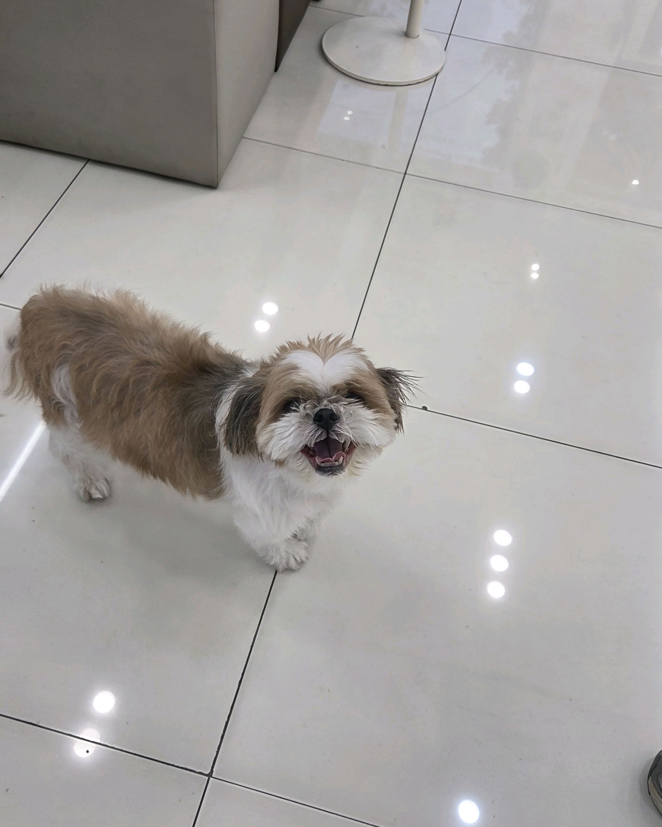 리뷰 사진 2