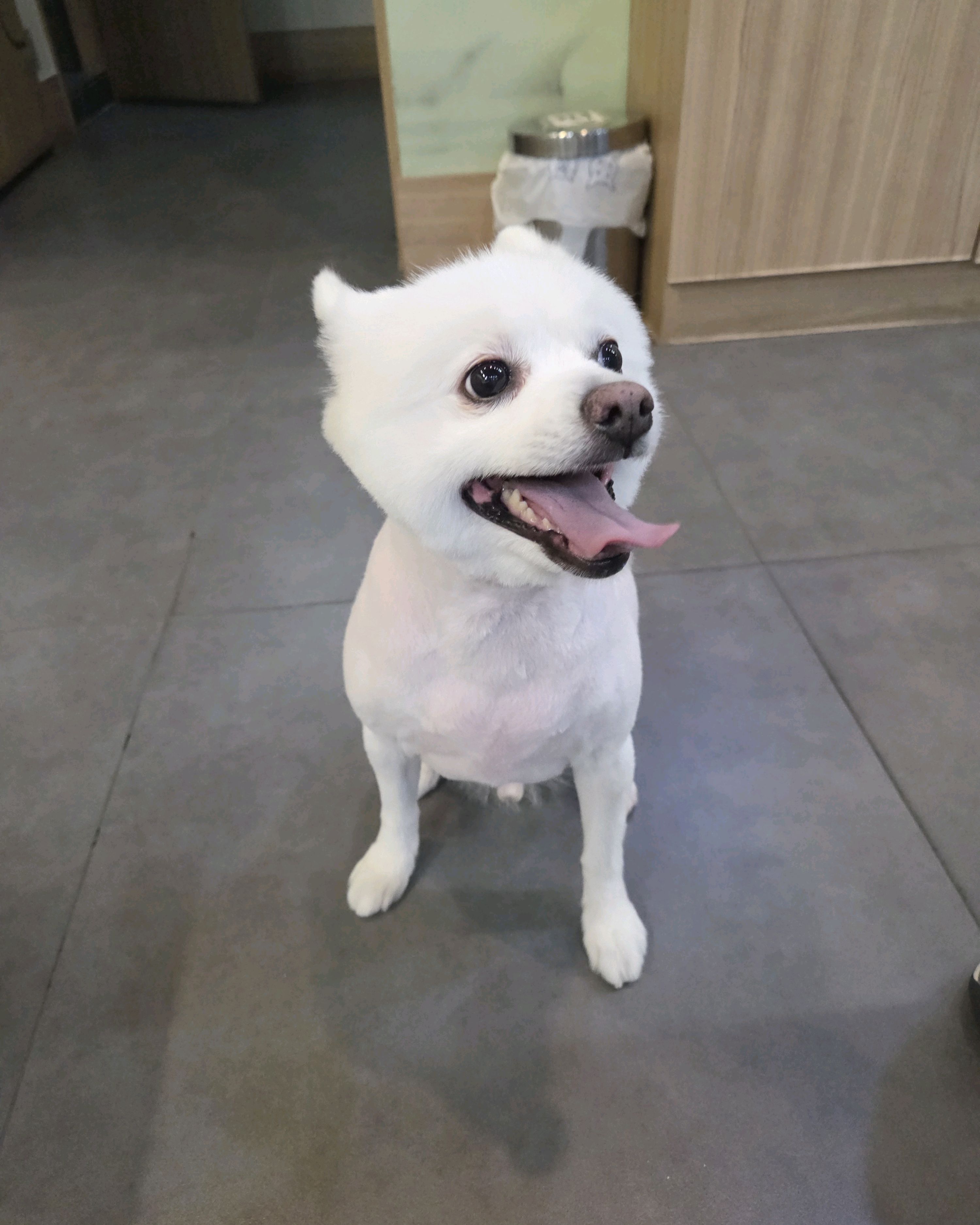 리뷰 사진 1
