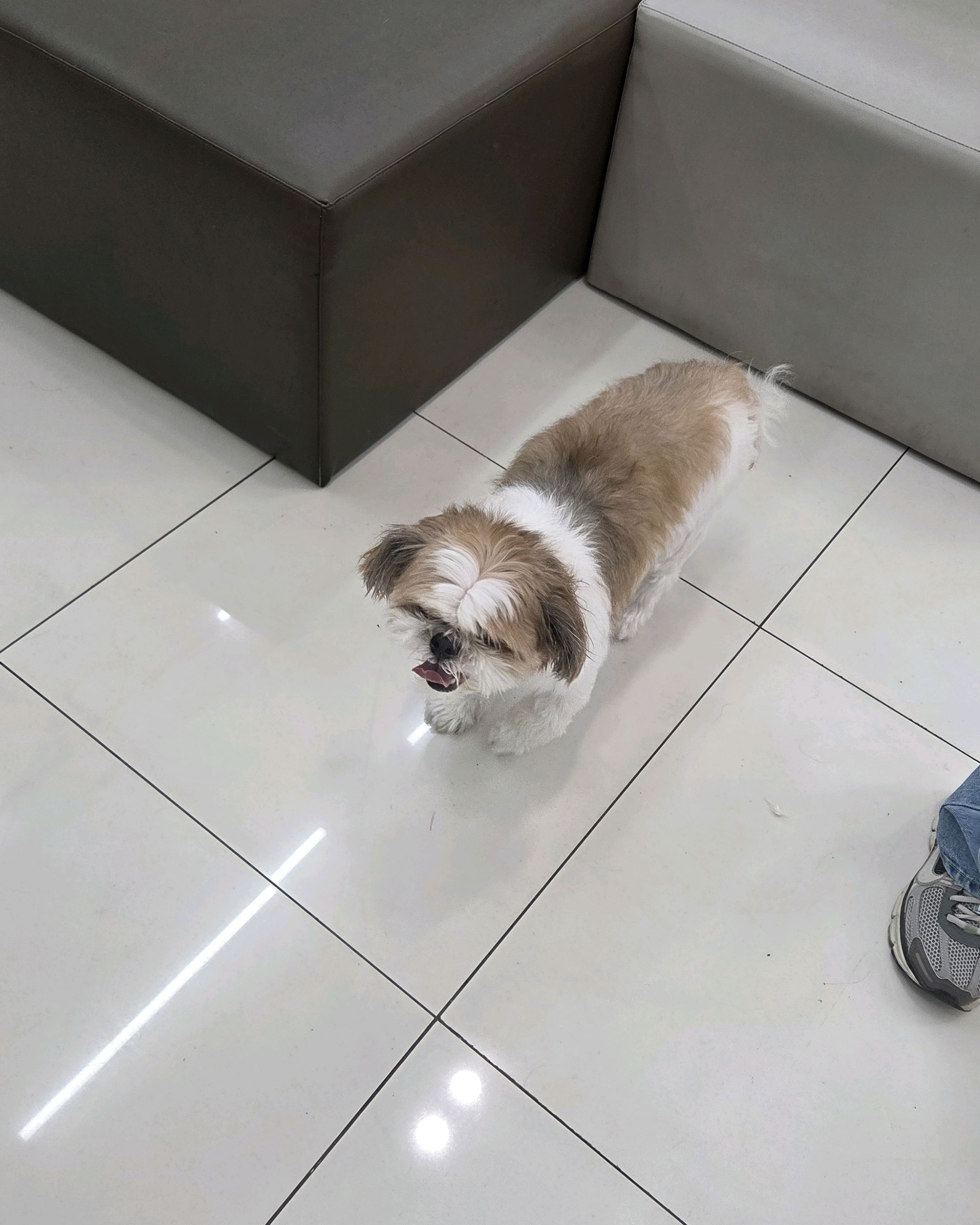 리뷰 사진 1