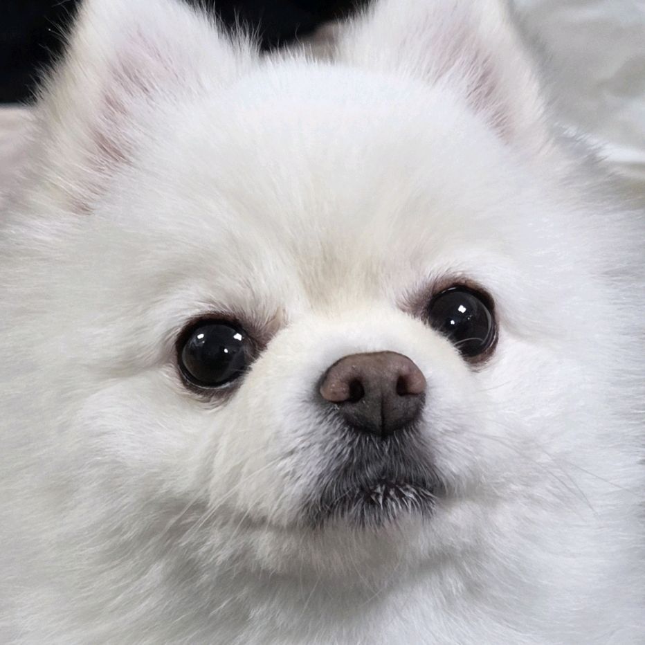 리뷰 사진 1