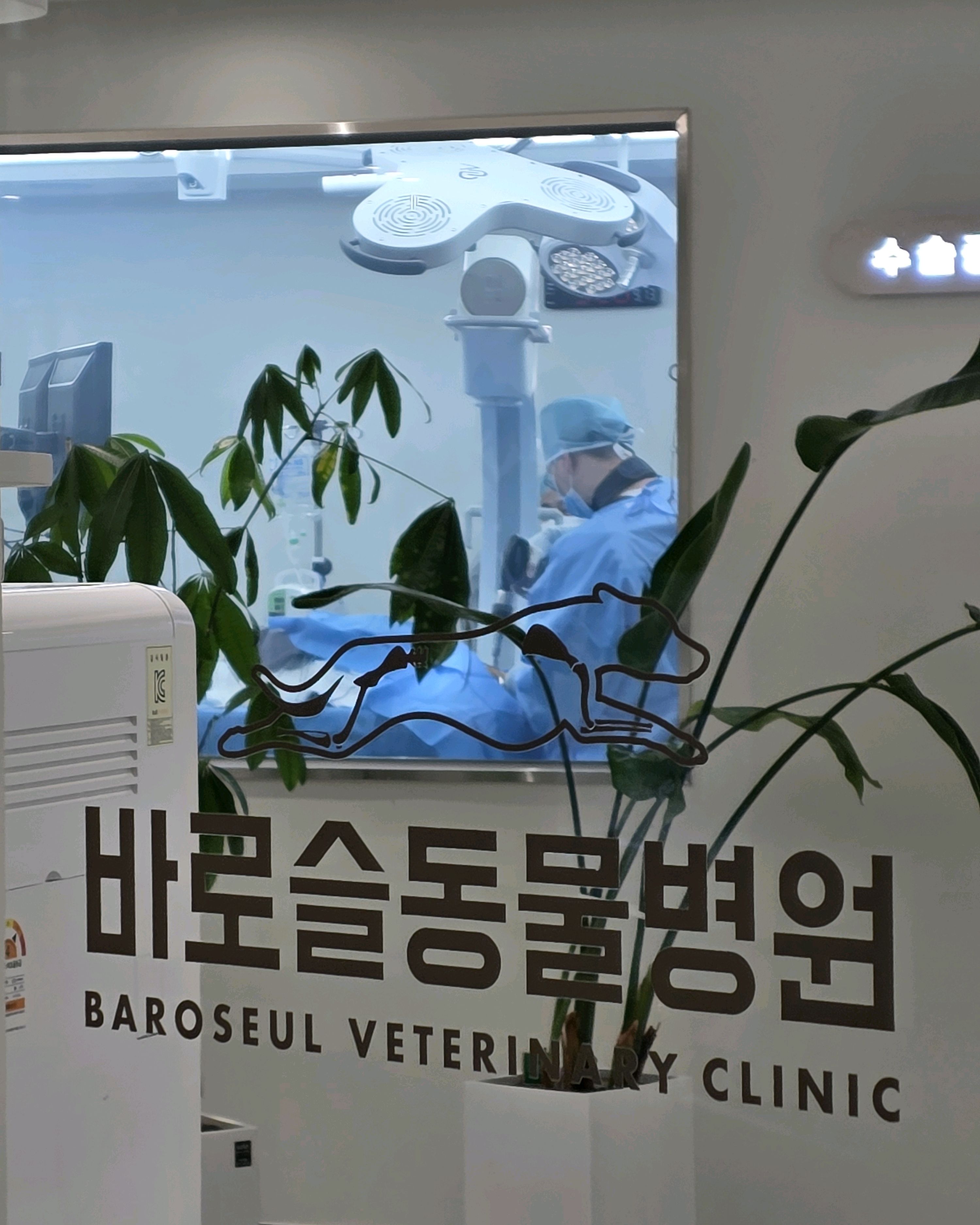 리뷰 사진 1
