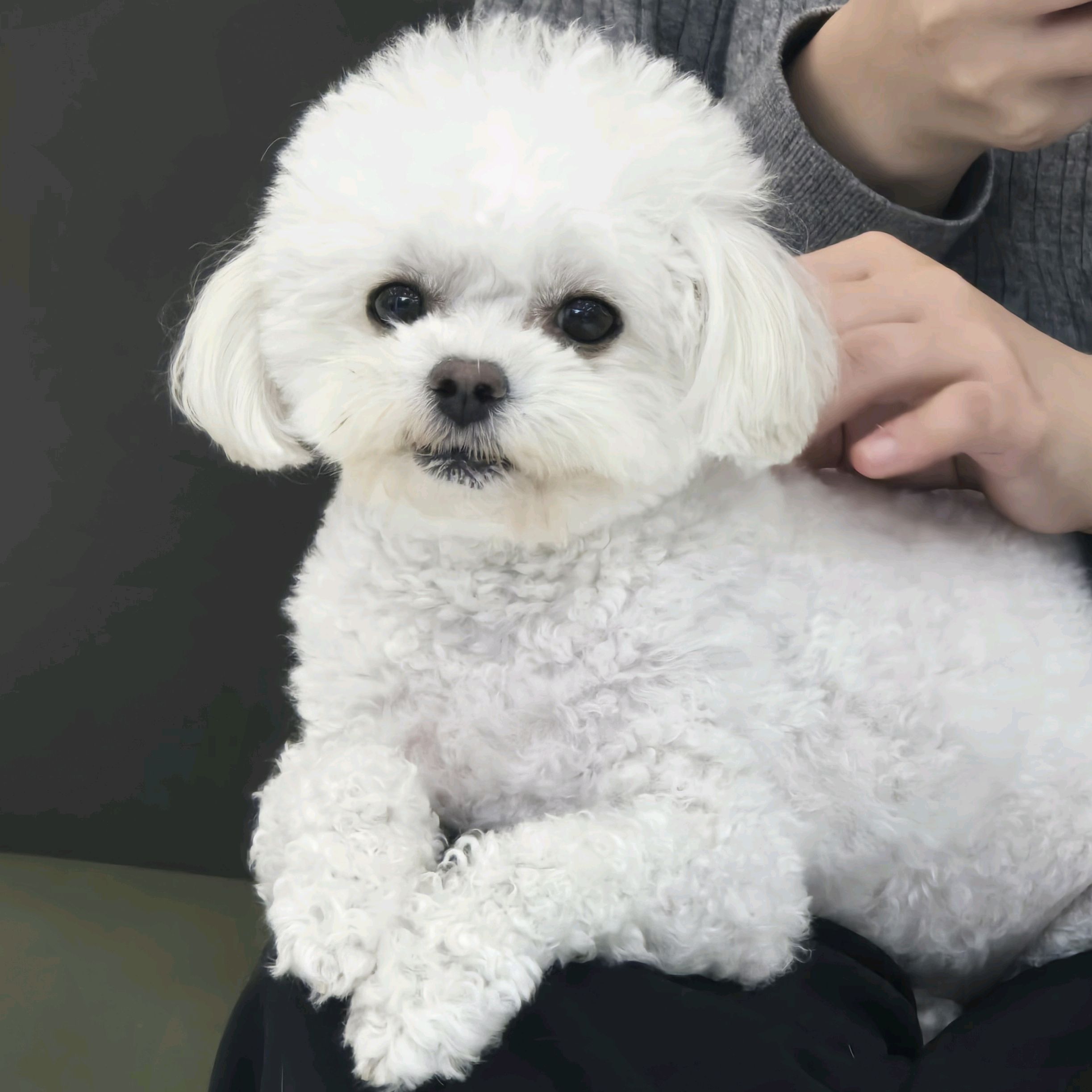 리뷰 사진 1