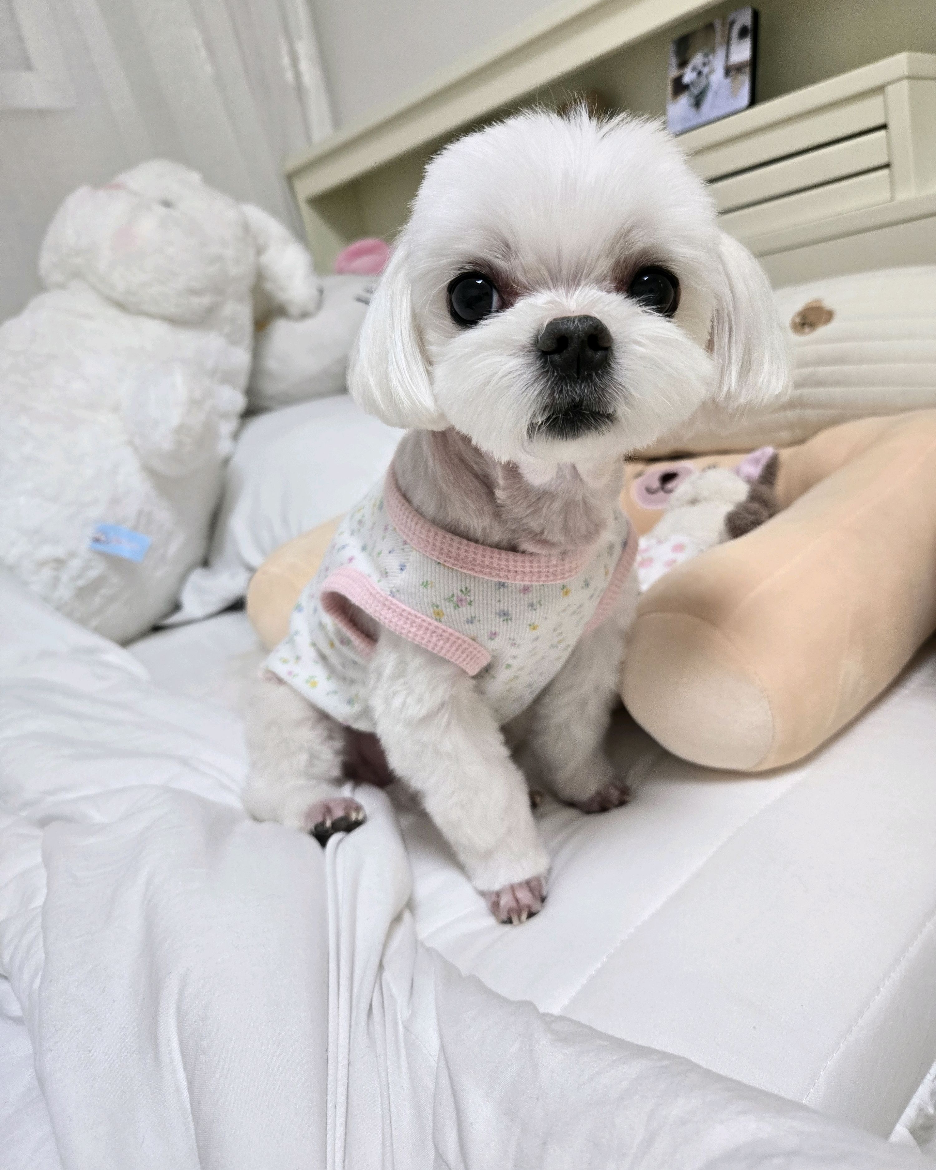 리뷰 사진 2