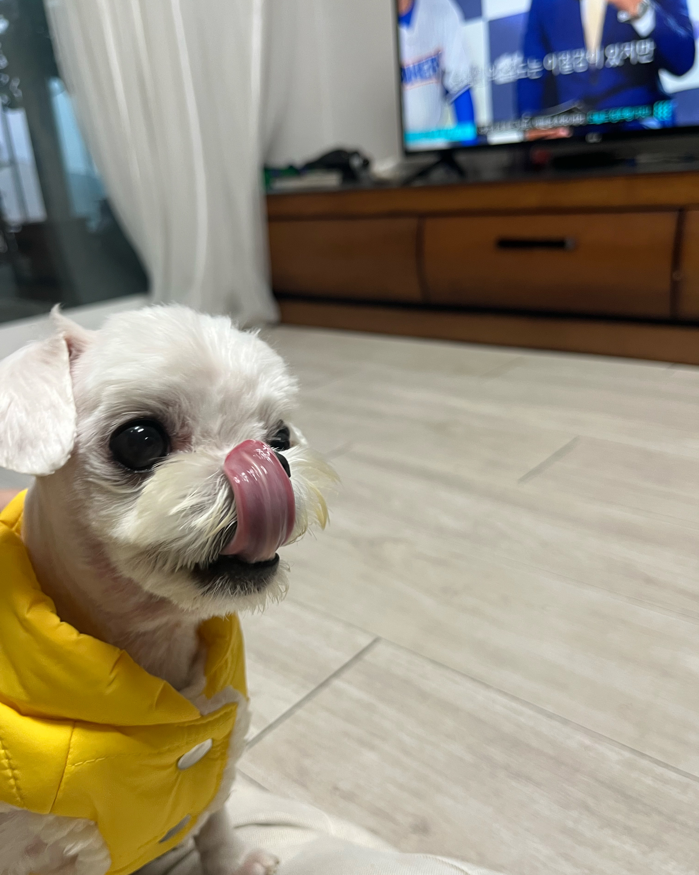 리뷰 사진 1