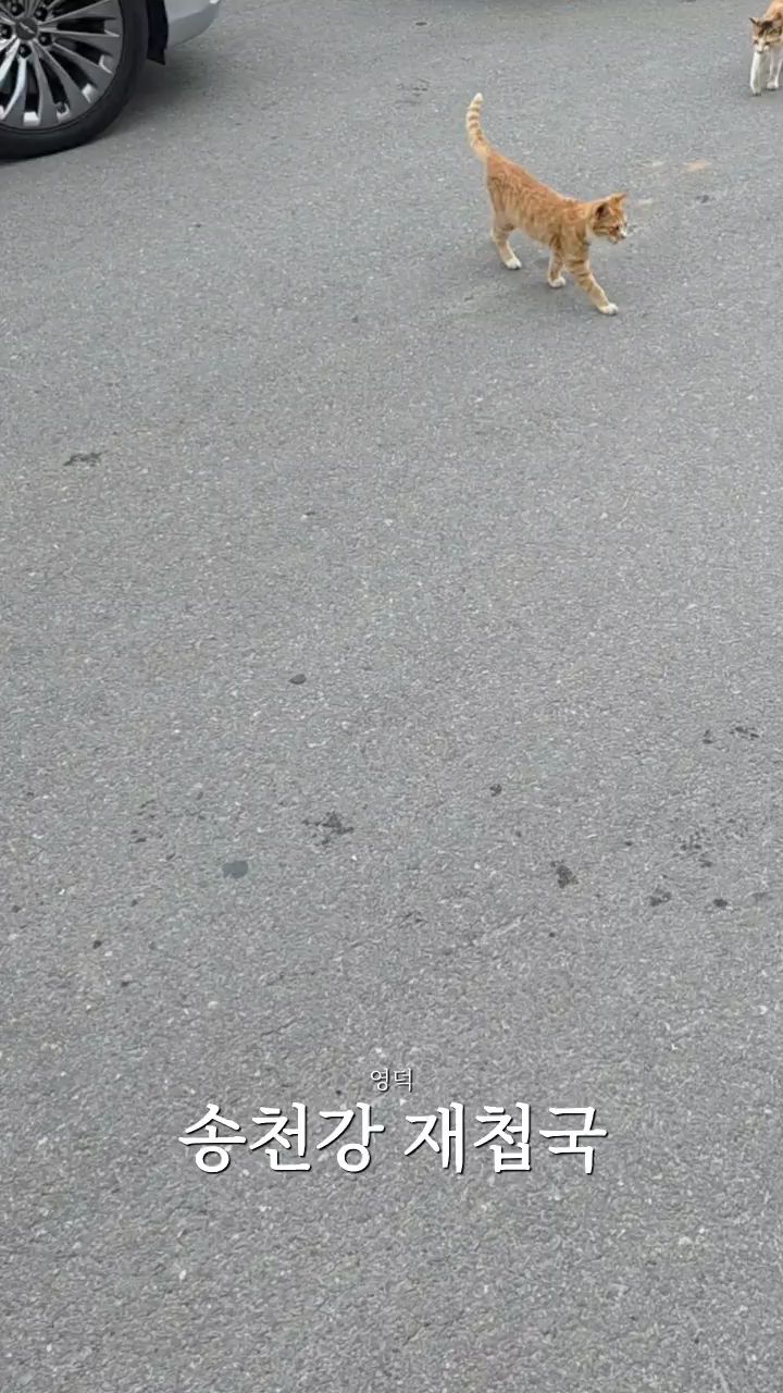 식당 주변 풍경