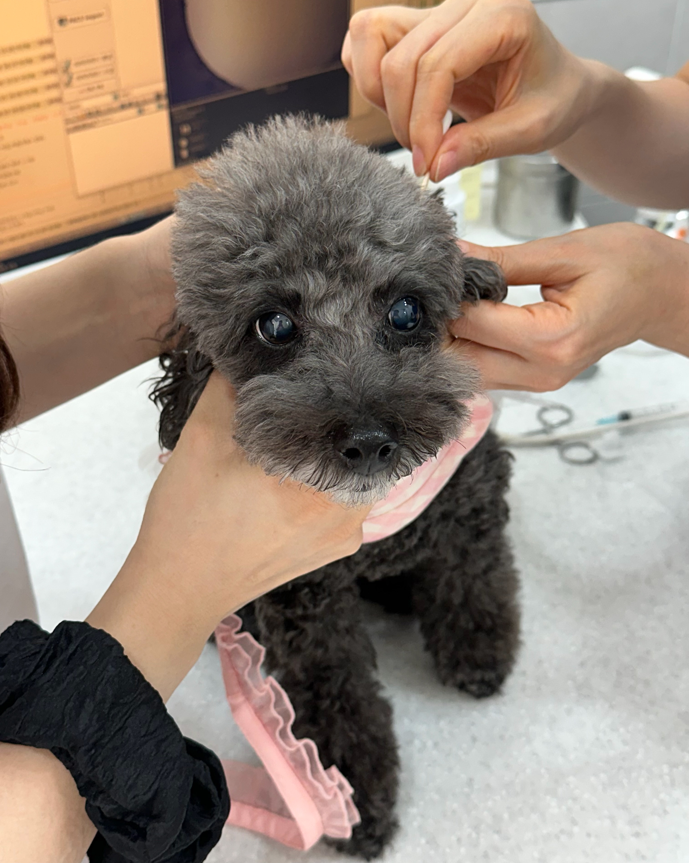 리뷰 사진 3