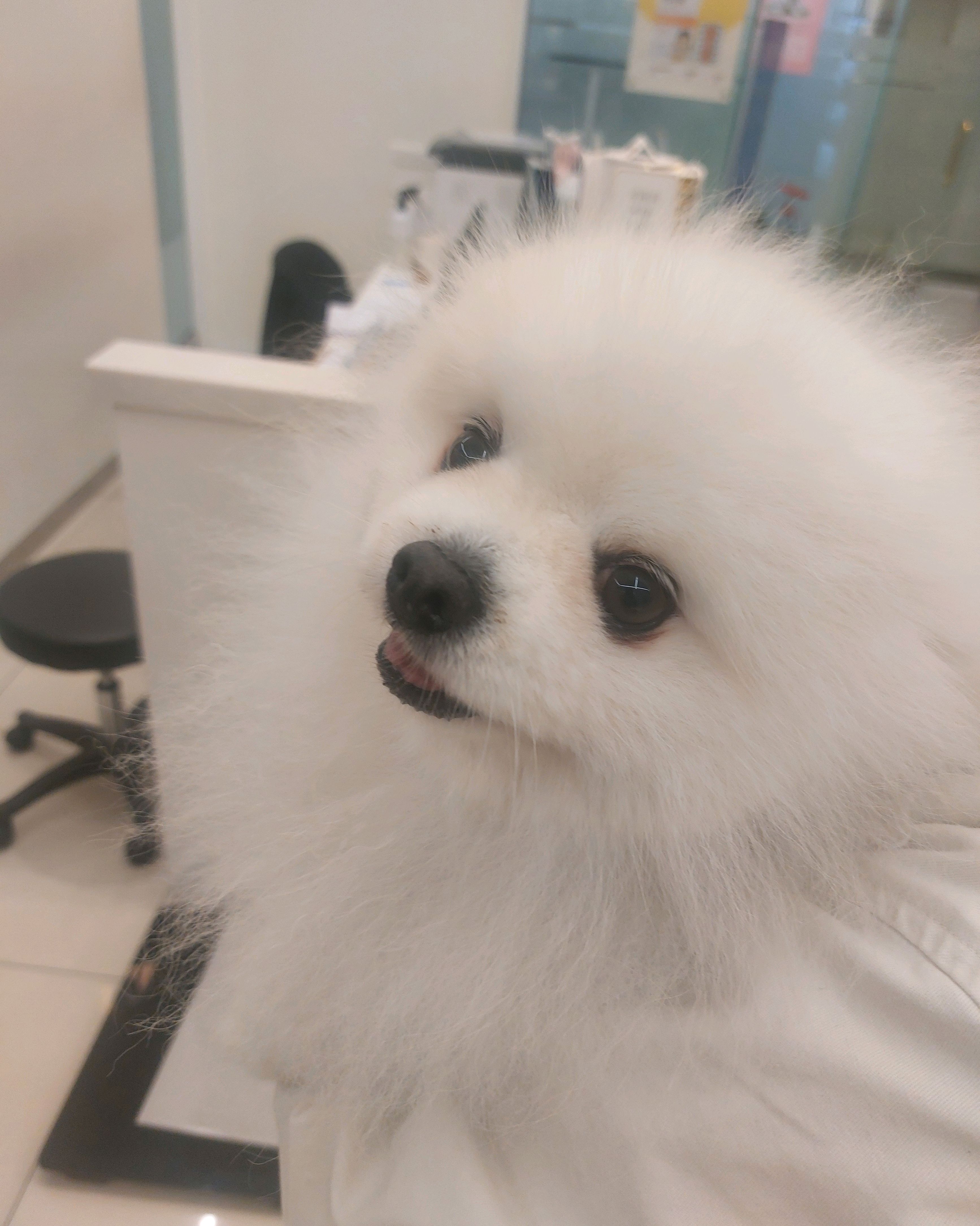 리뷰 사진 1