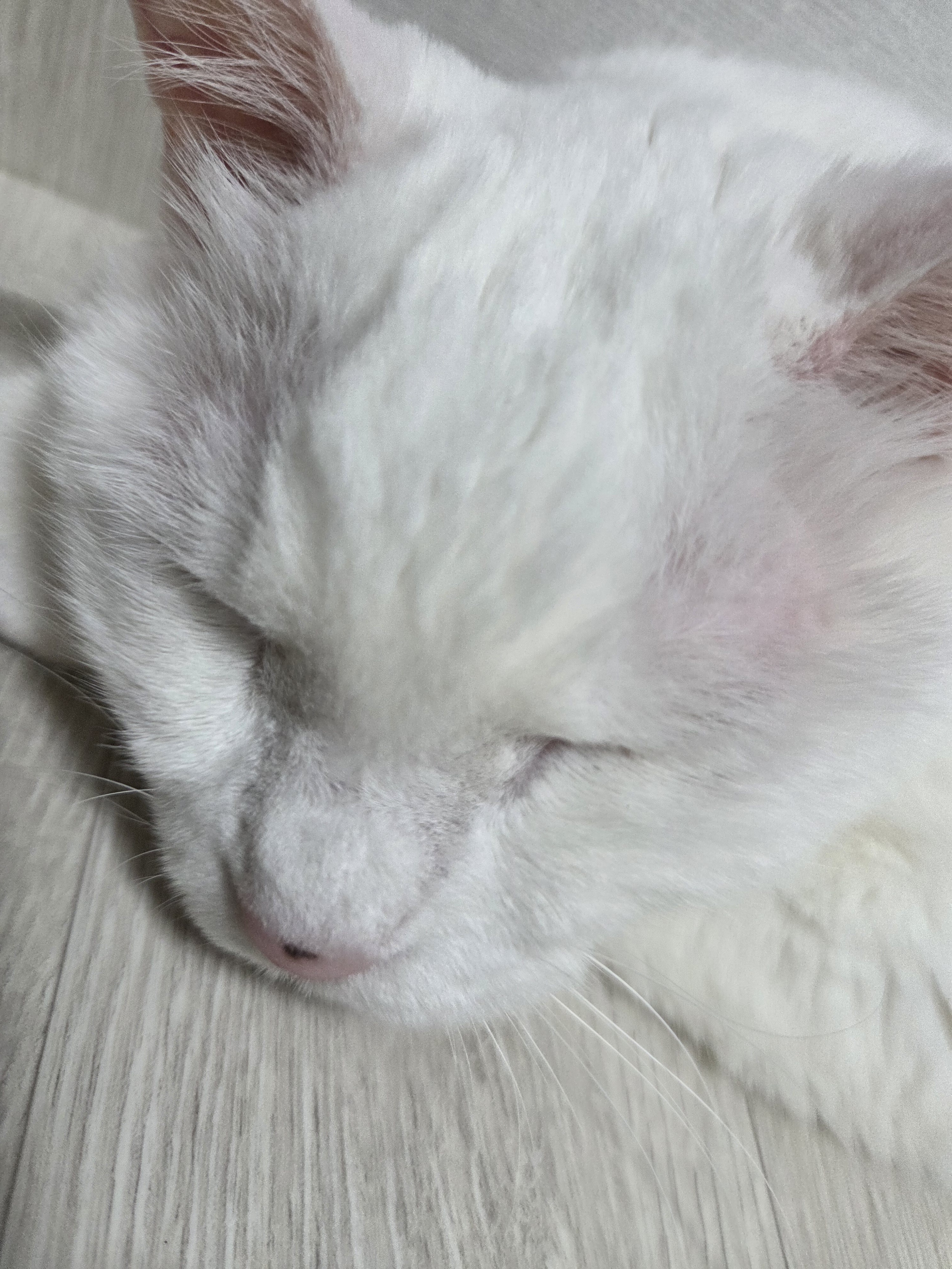 리뷰 사진 1