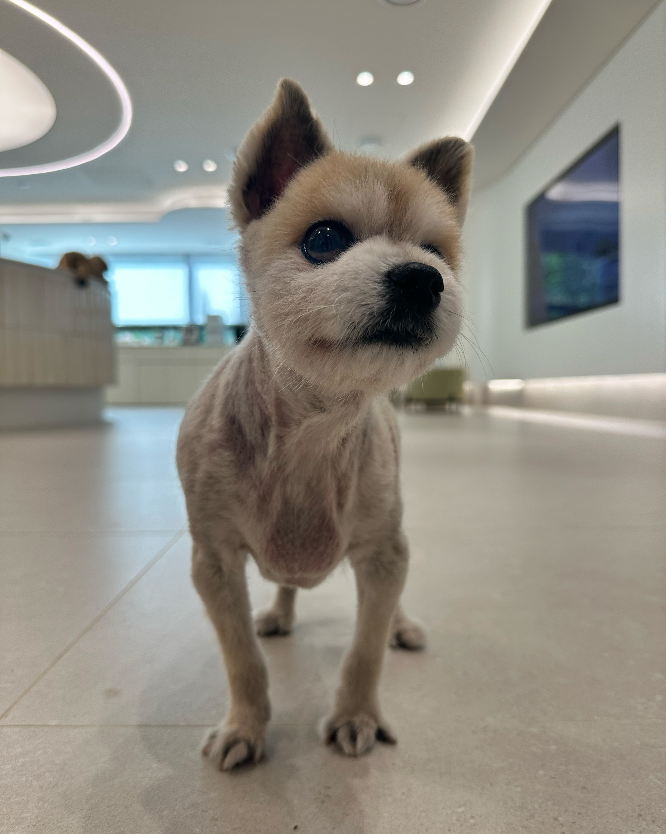 리뷰 사진 2
