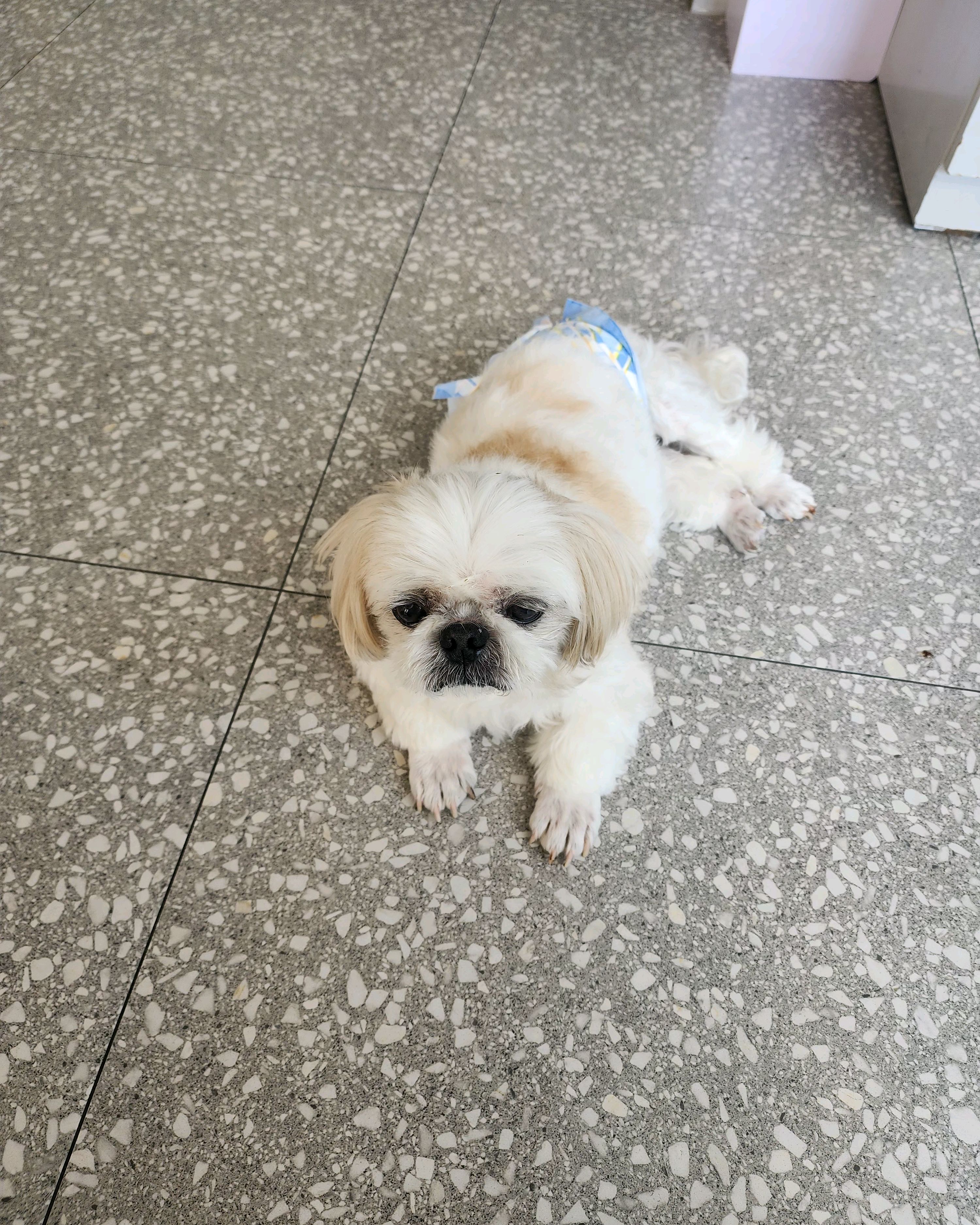 리뷰 사진 2