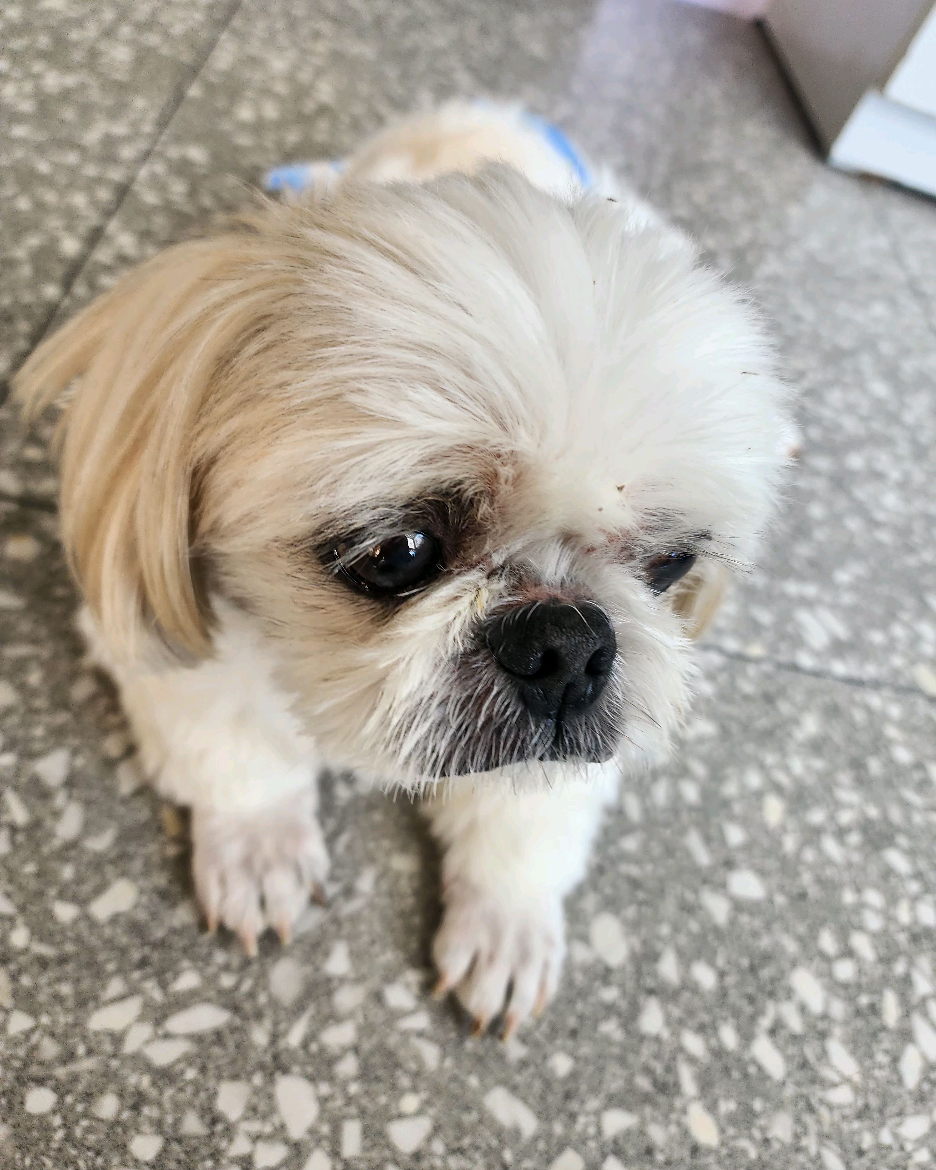 리뷰 사진 1
