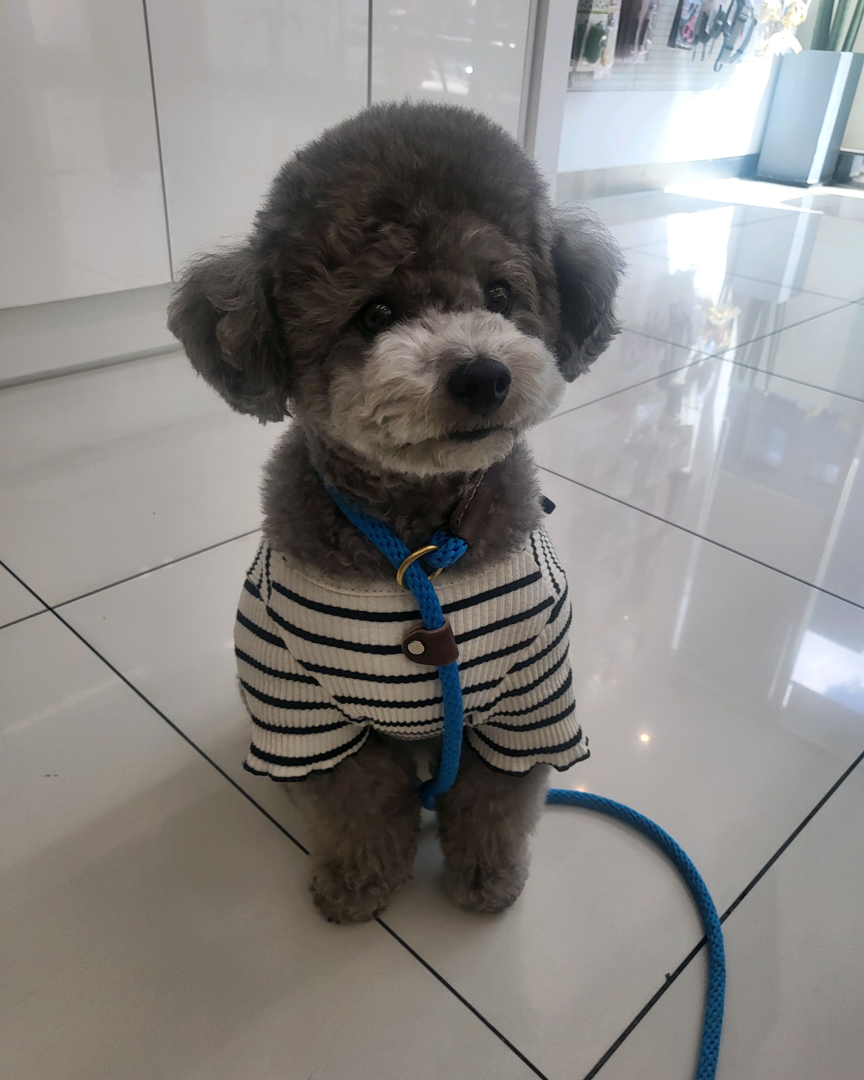 리뷰 사진 2