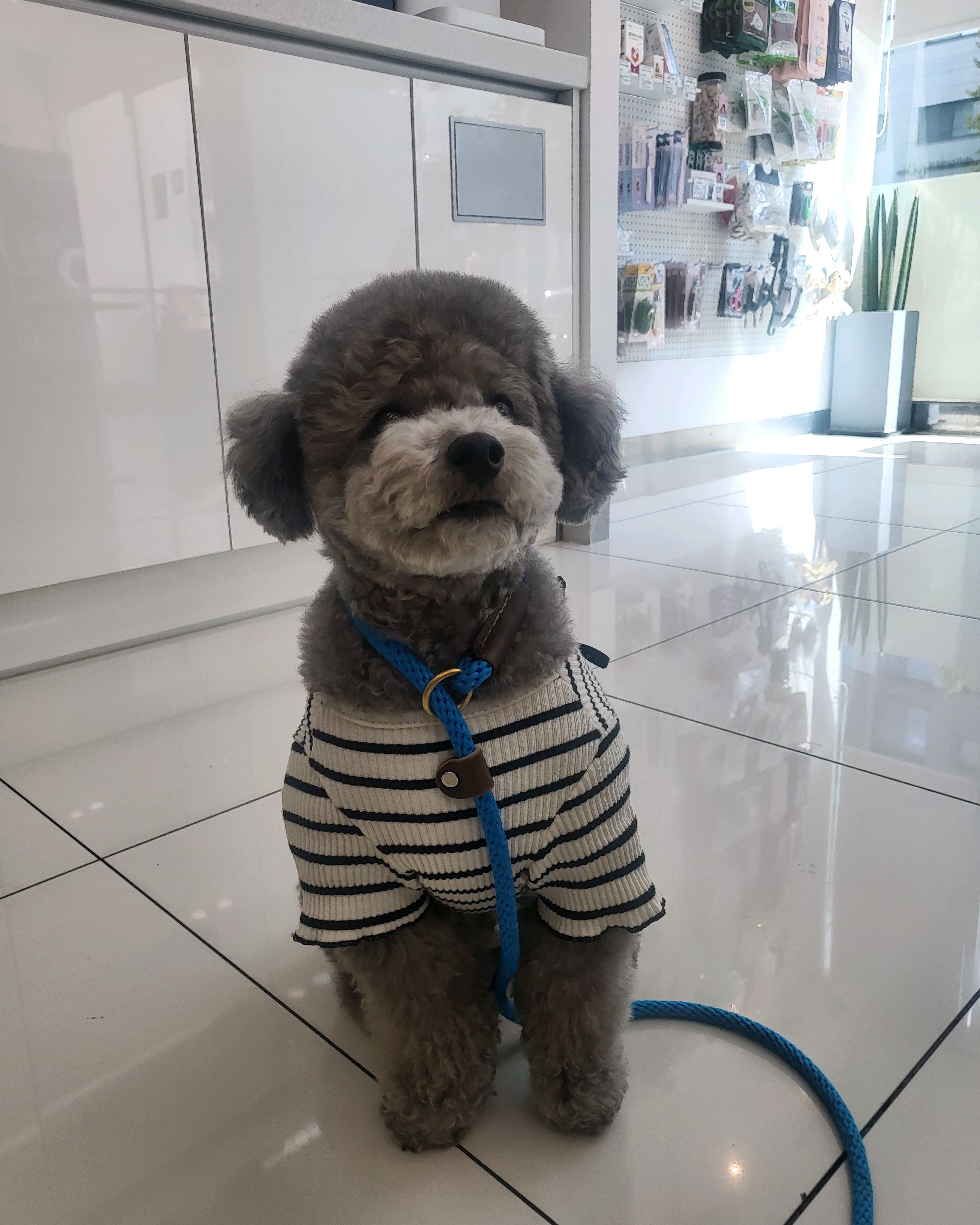 리뷰 사진 3