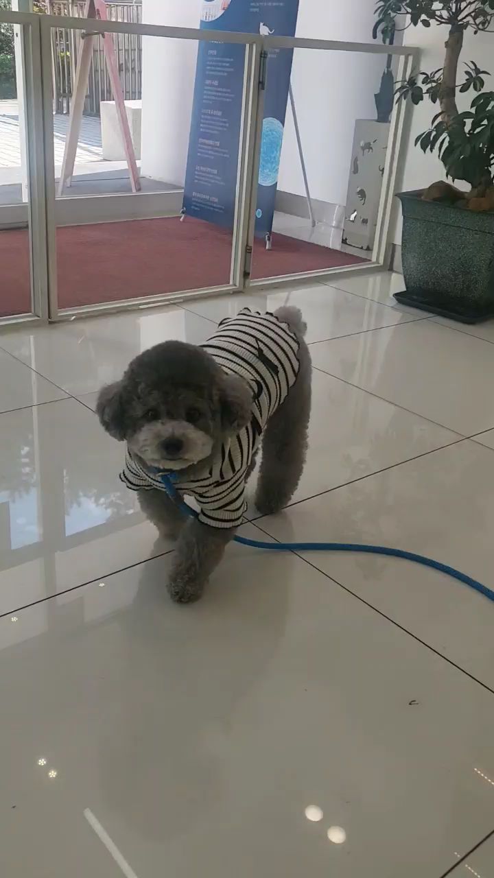 리뷰 사진 1