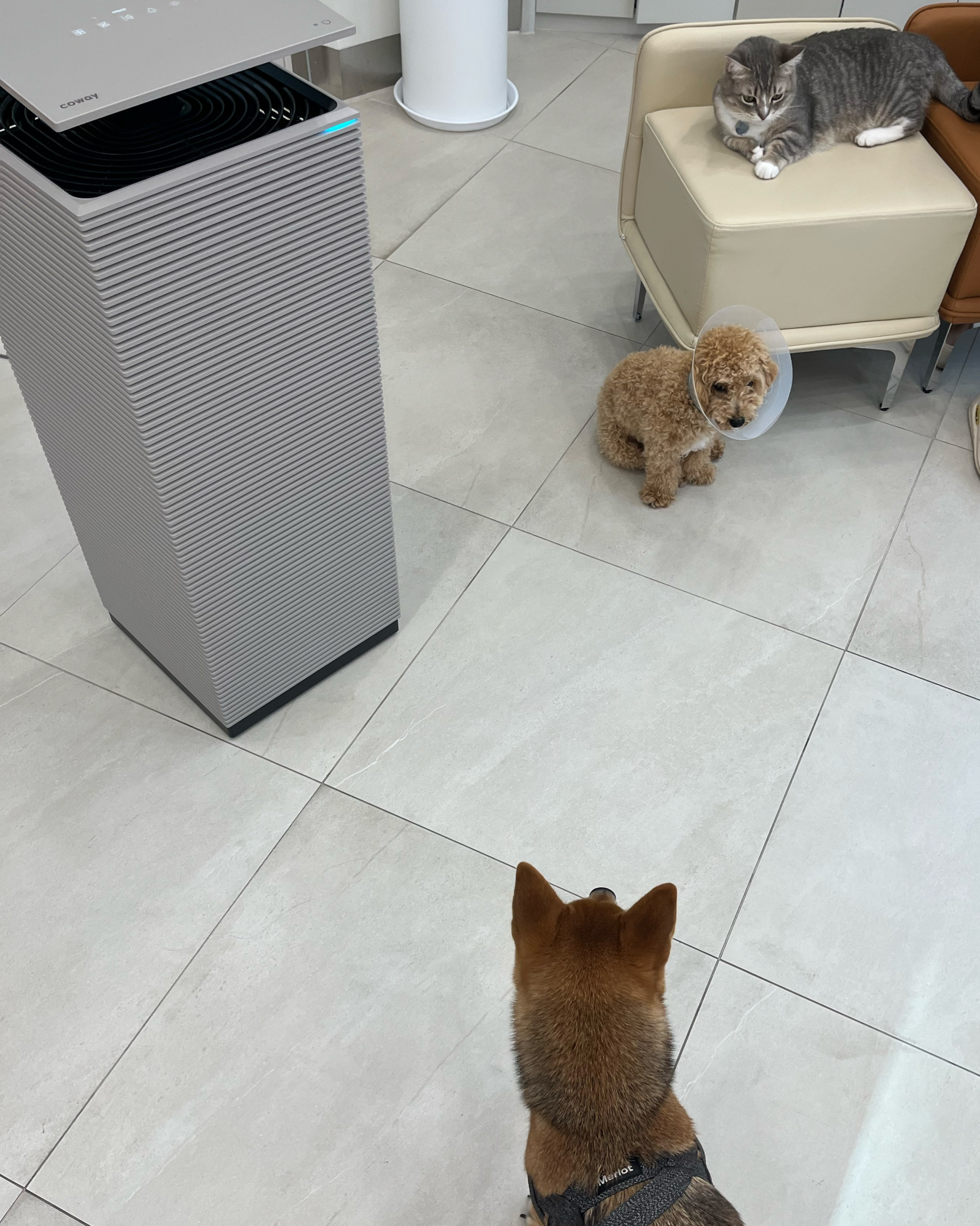 리뷰 사진 3