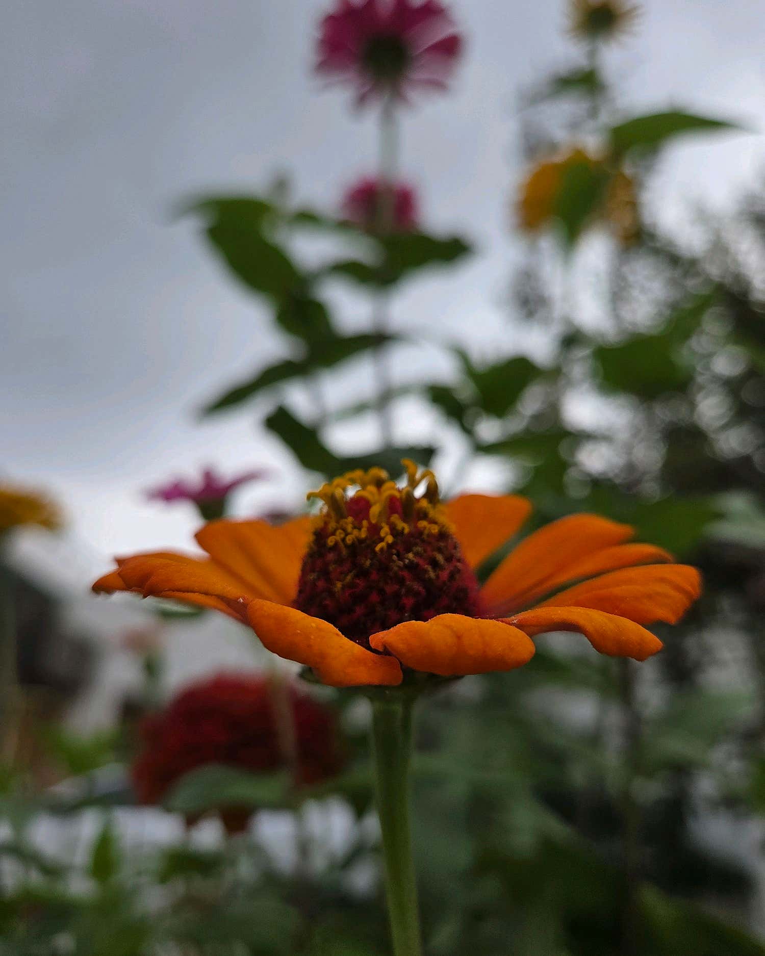 한국집 메인 요리 클로즈업