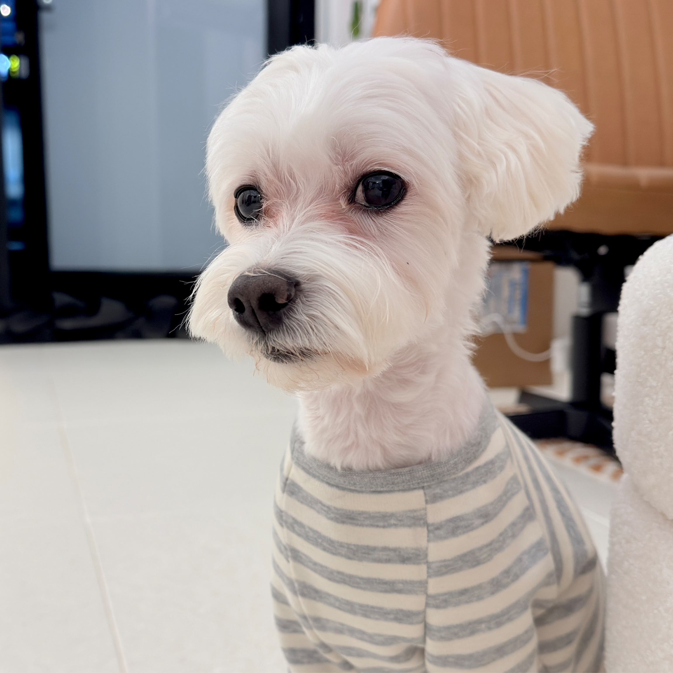리뷰 사진 1