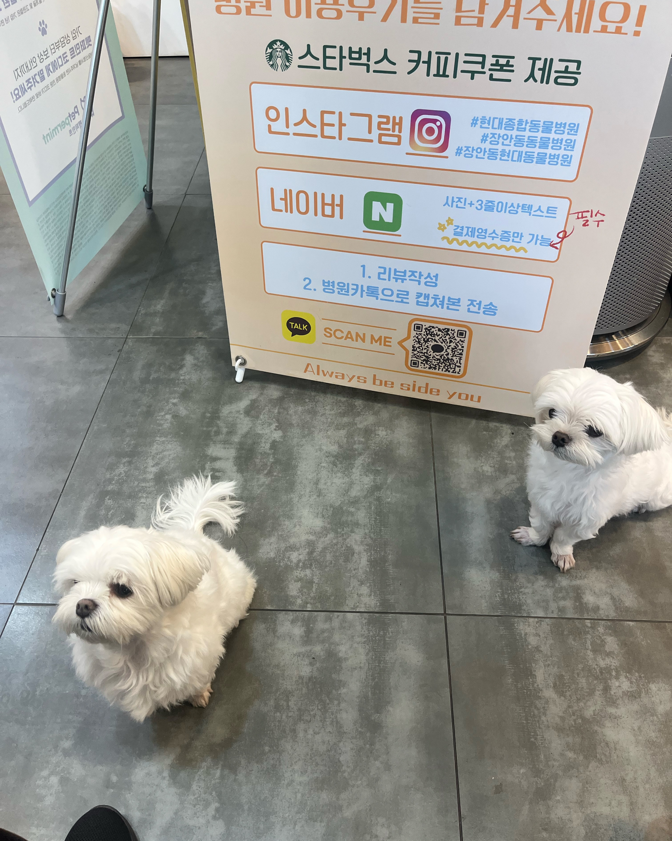 리뷰 사진 2