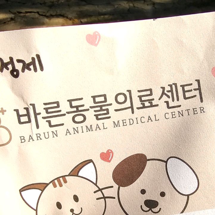 리뷰 사진 1