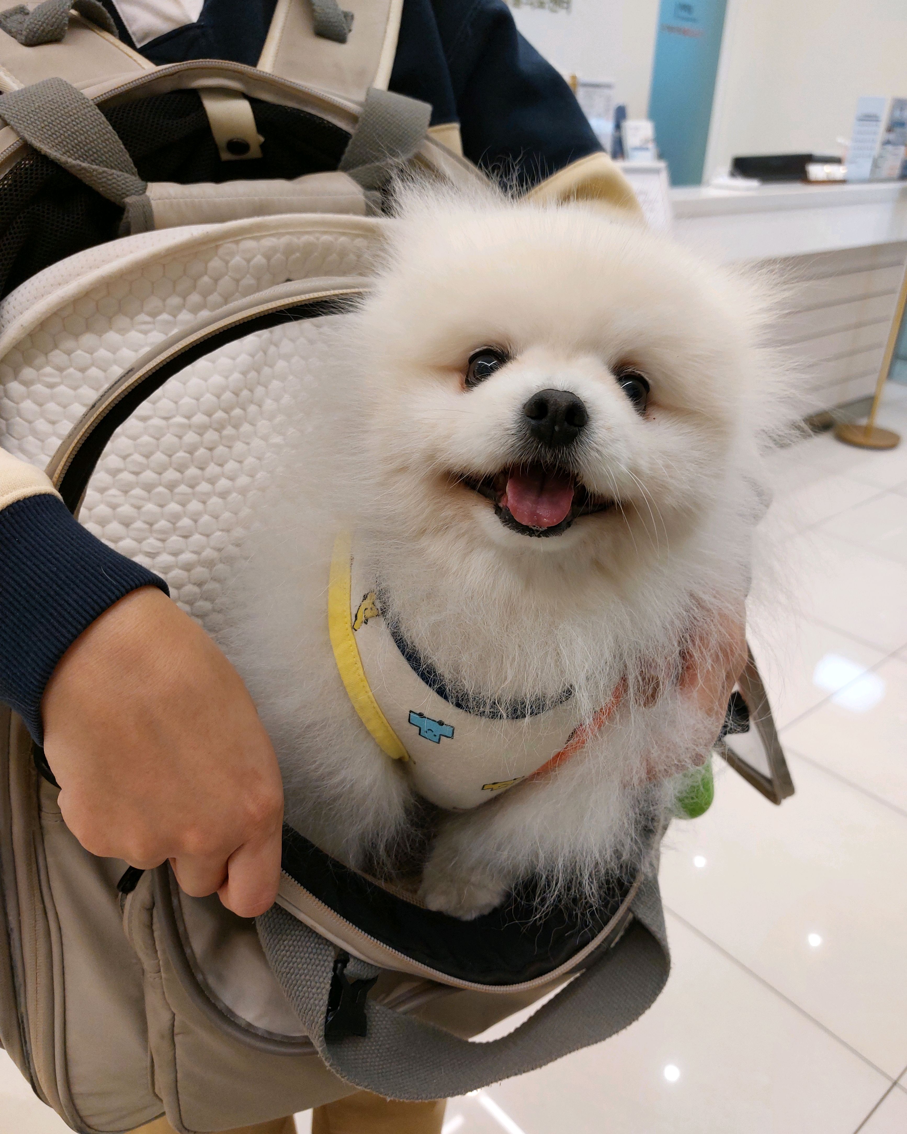 리뷰 사진 1