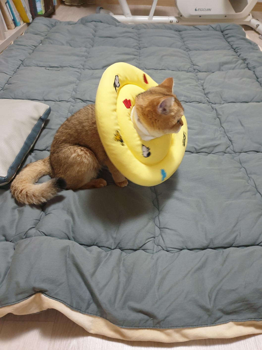 리뷰 사진 1