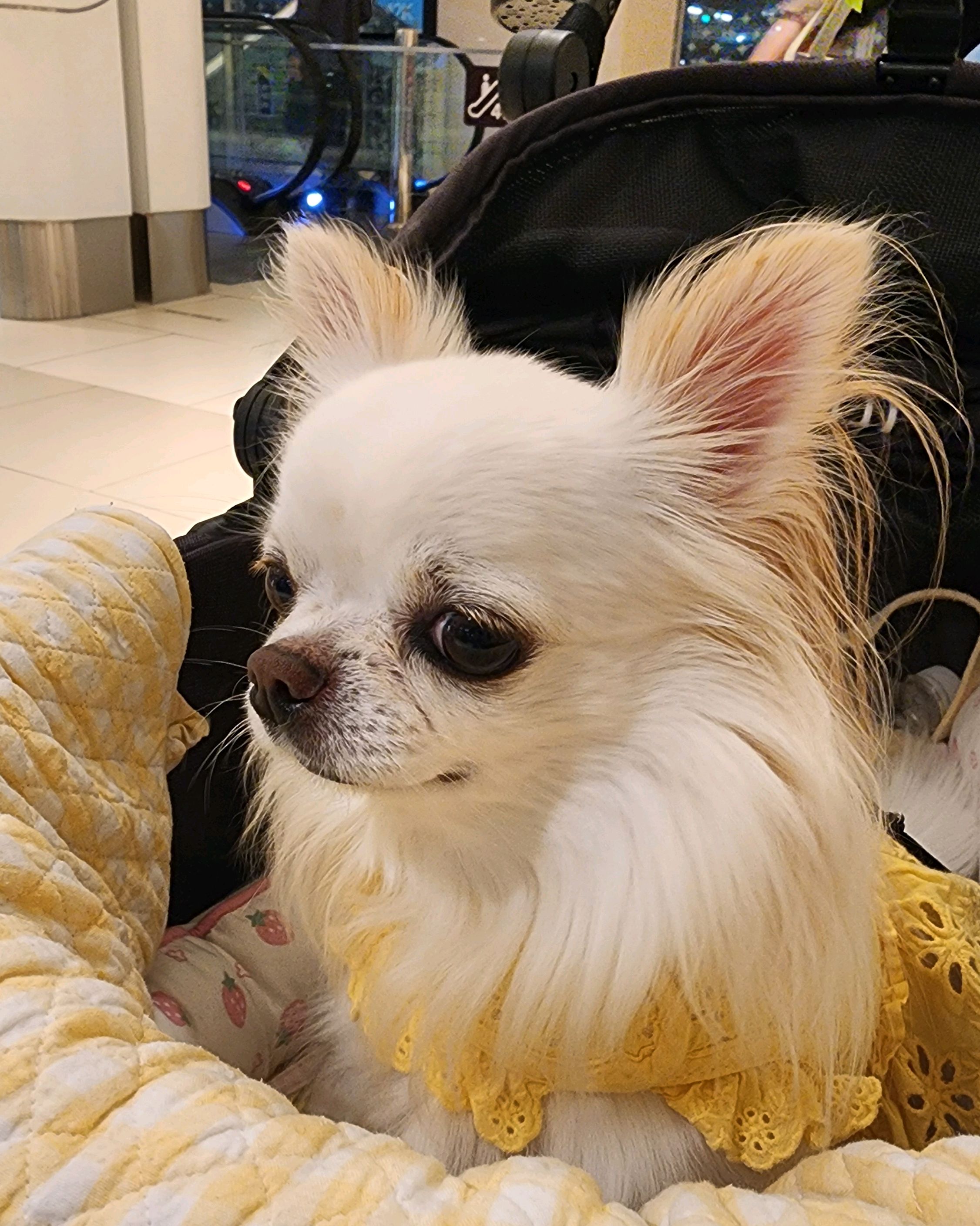 리뷰 사진 3