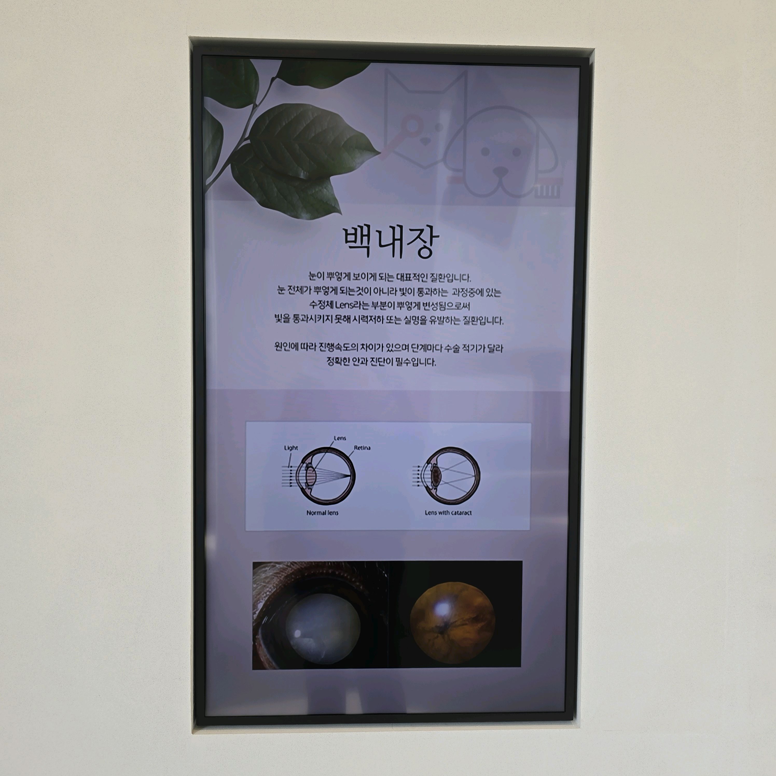 리뷰 사진 1
