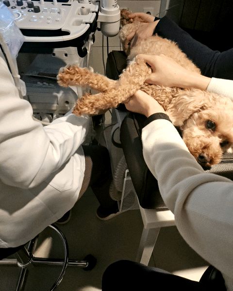 리뷰 사진 2