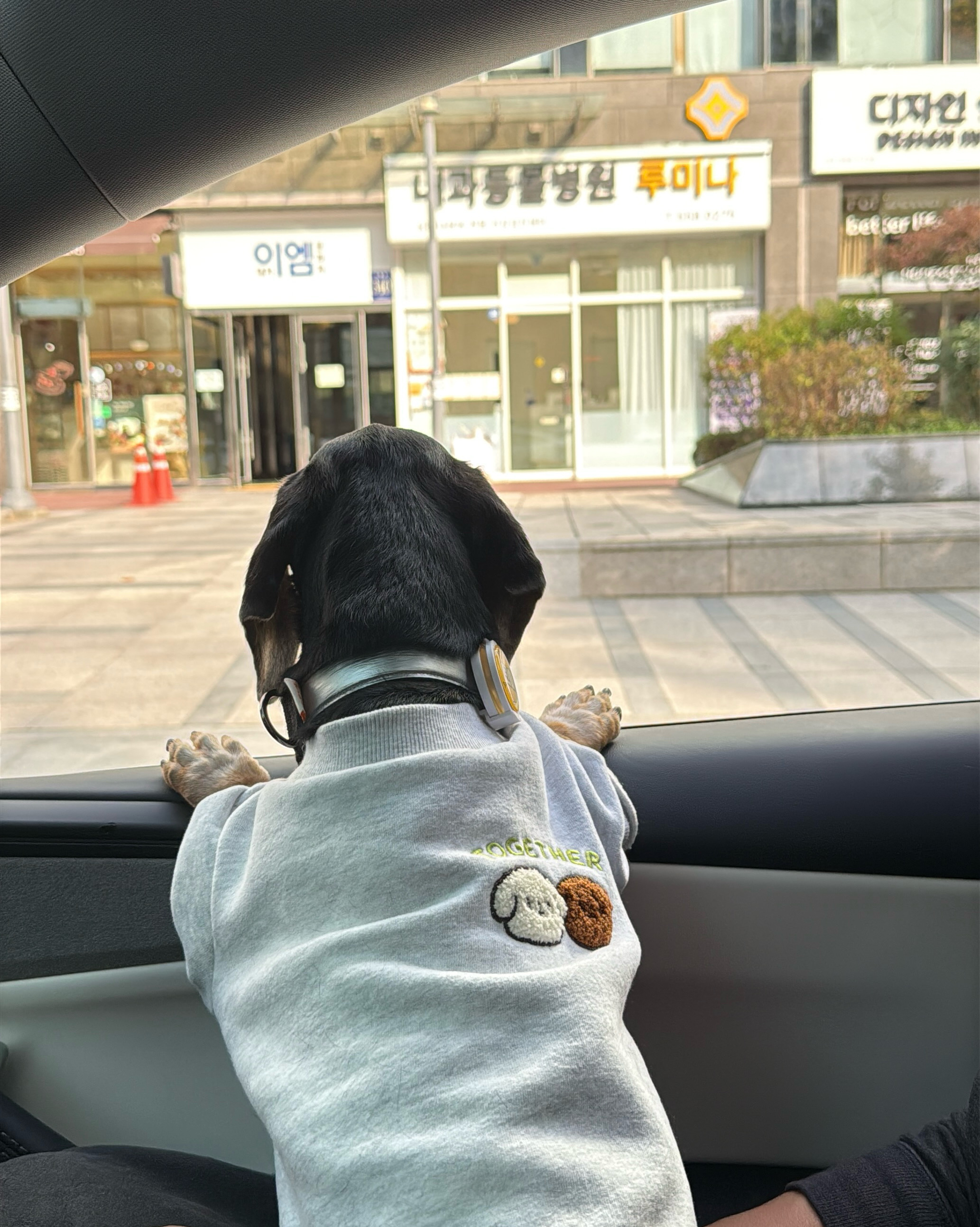 리뷰 사진 1