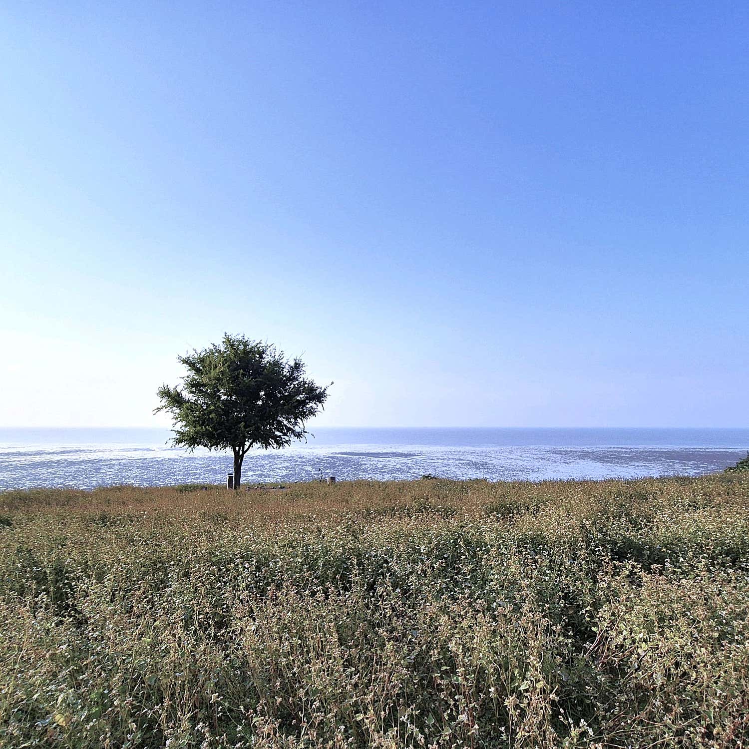 카페보리 통창 너머로 보이는 바다 풍경