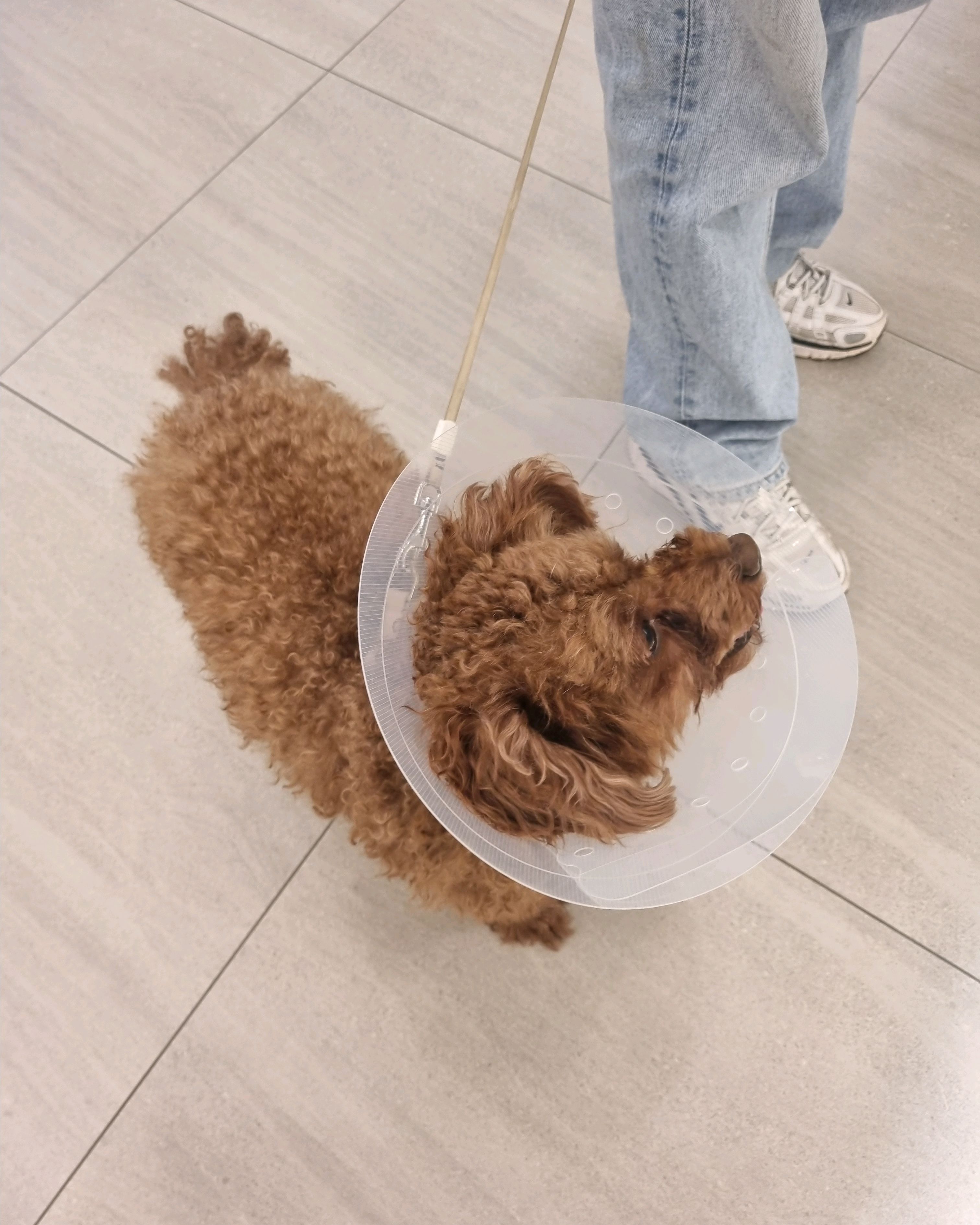 리뷰 사진 1